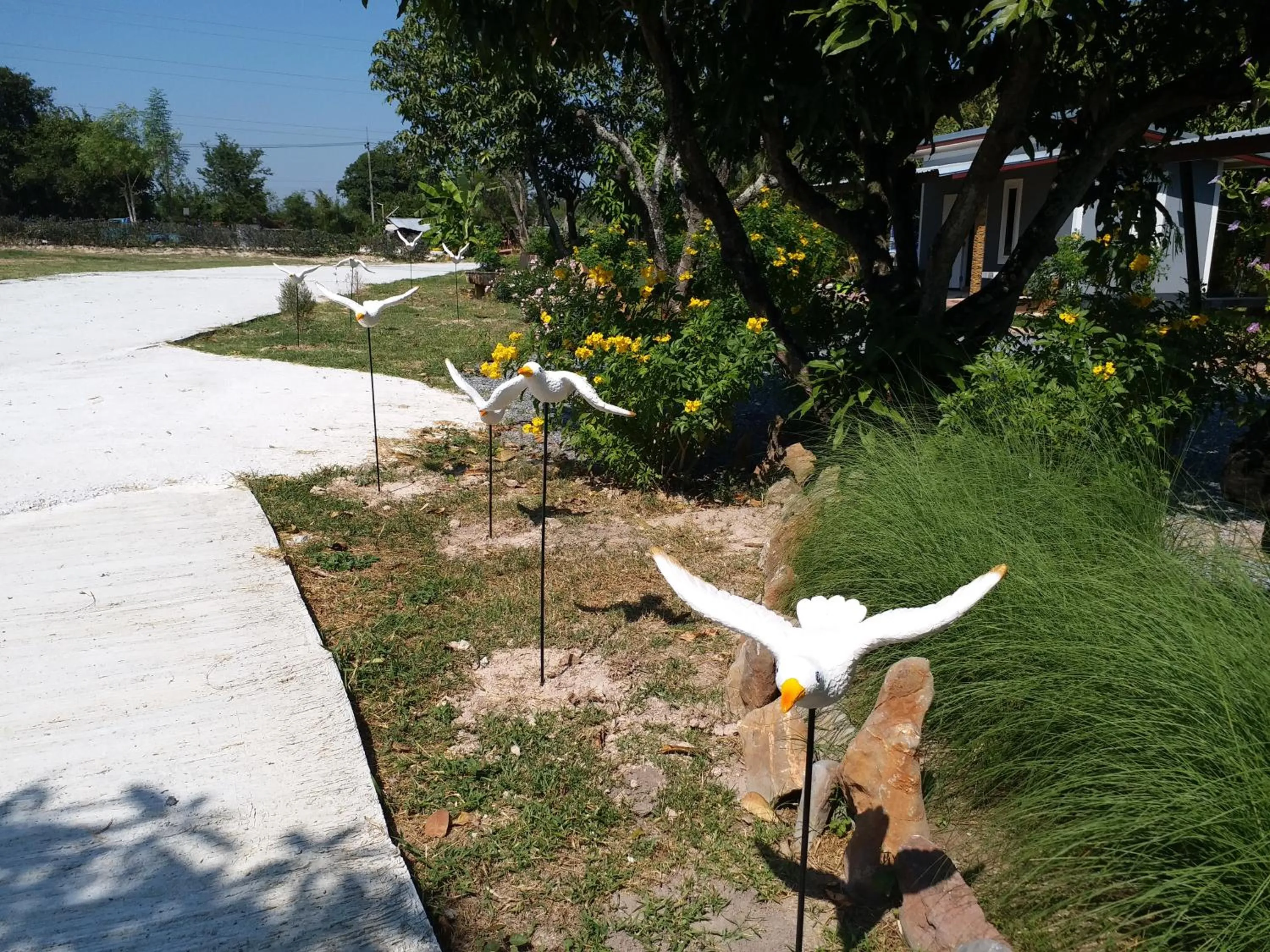 Garden in Baan Hin Sai Suay