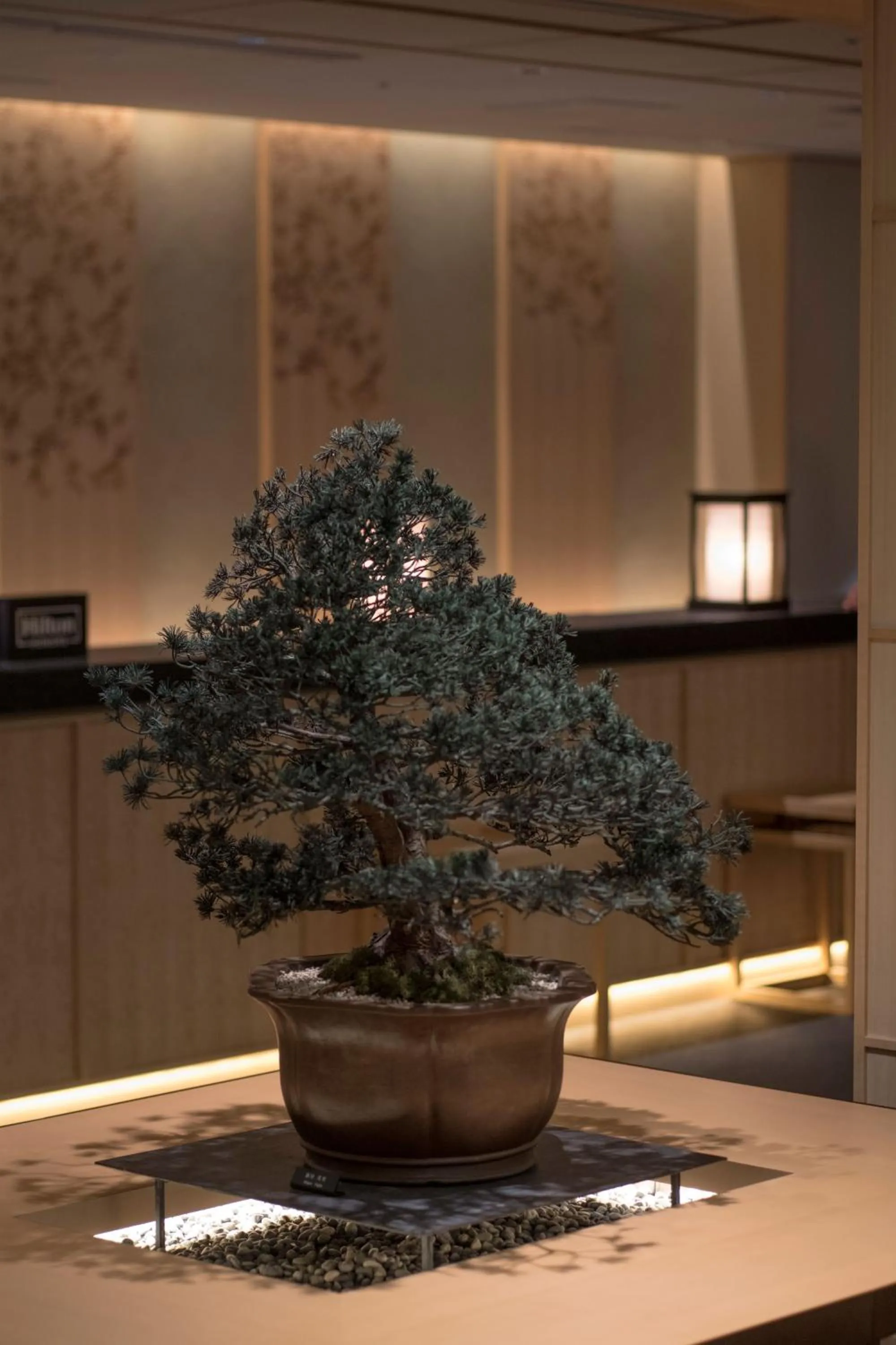 Restaurant/places to eat in DoubleTree by Hilton Kyoto Higashiyama