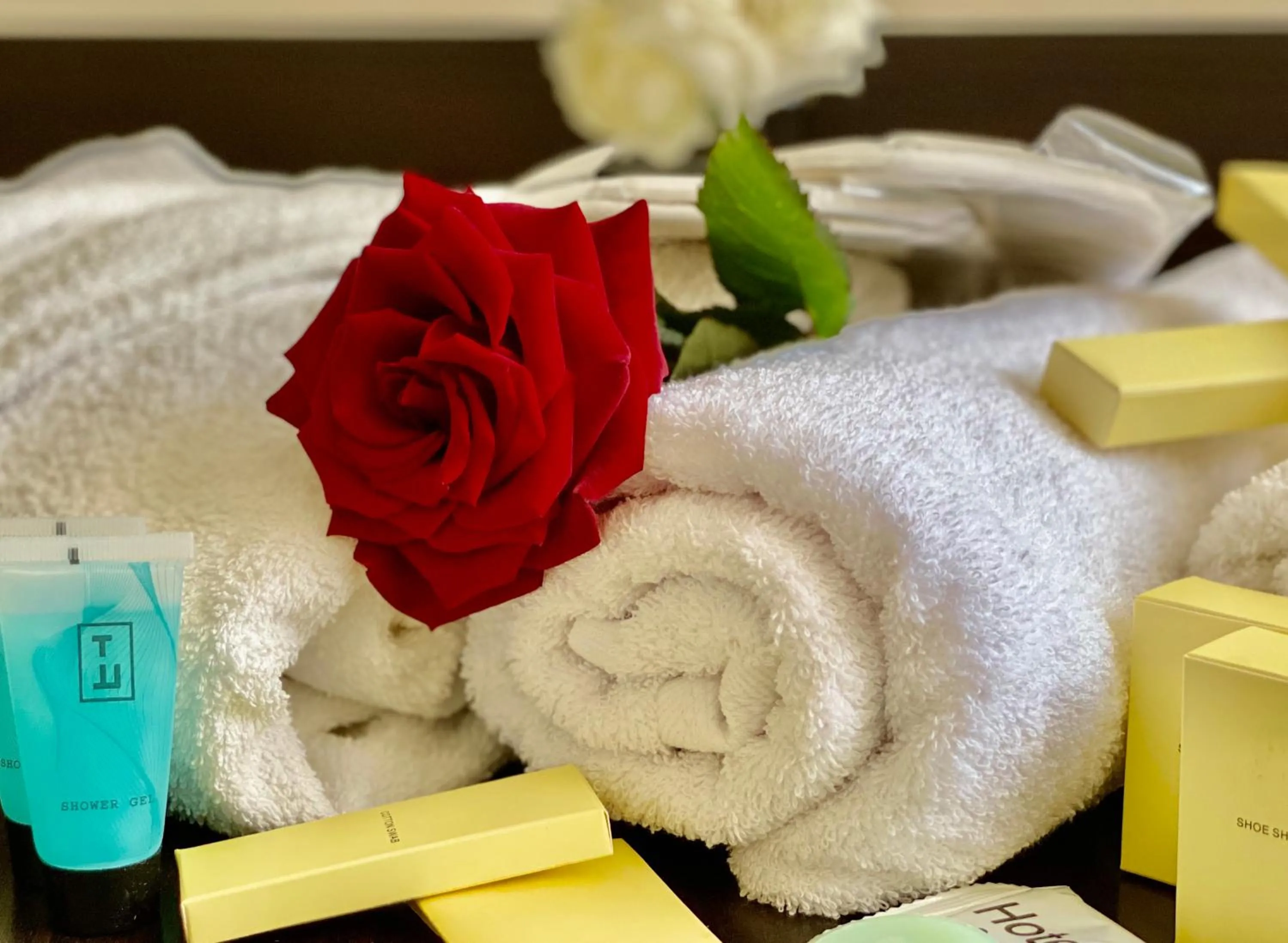 towels in Parvana Hotel