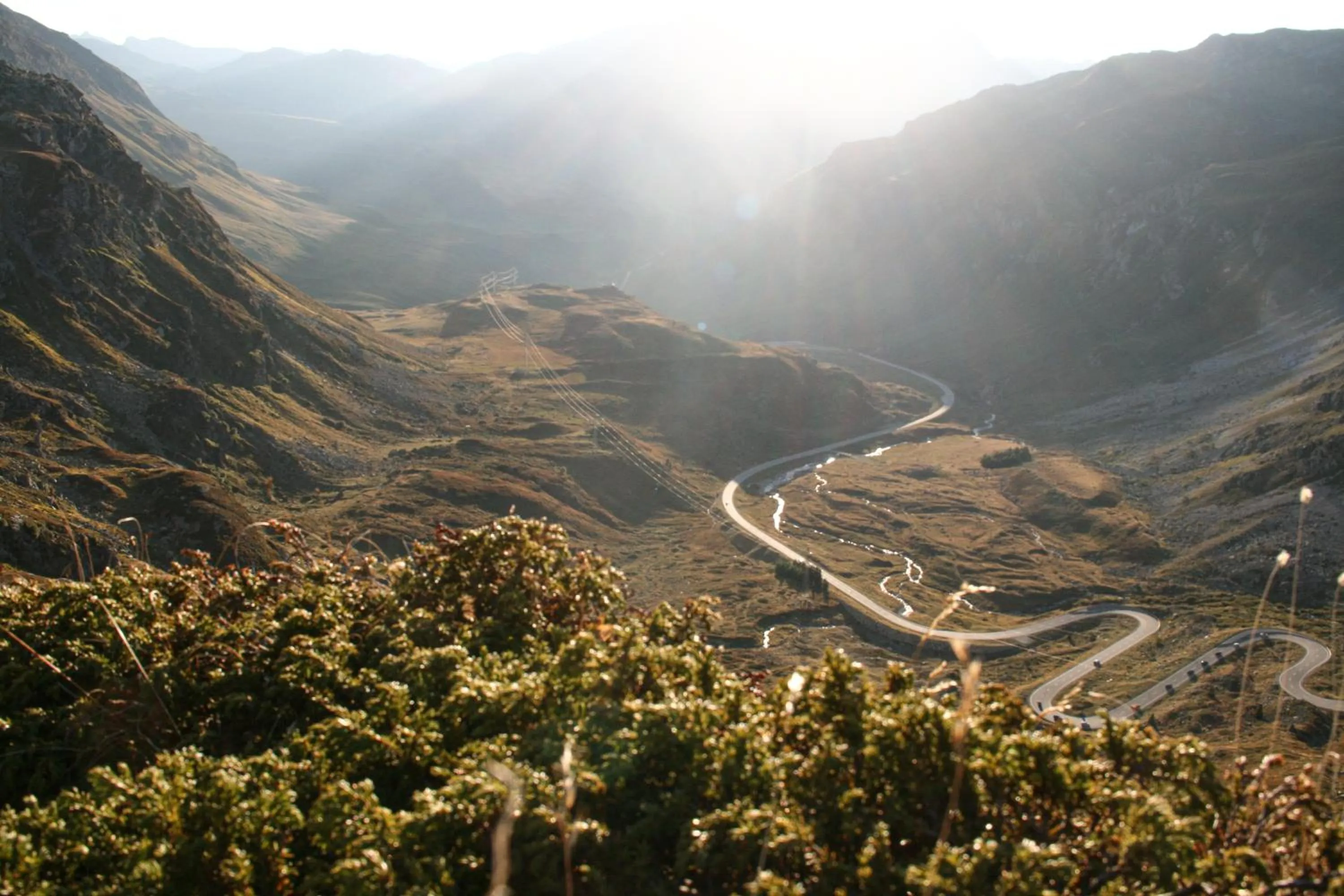 Natural landscape in Hotel Solaria