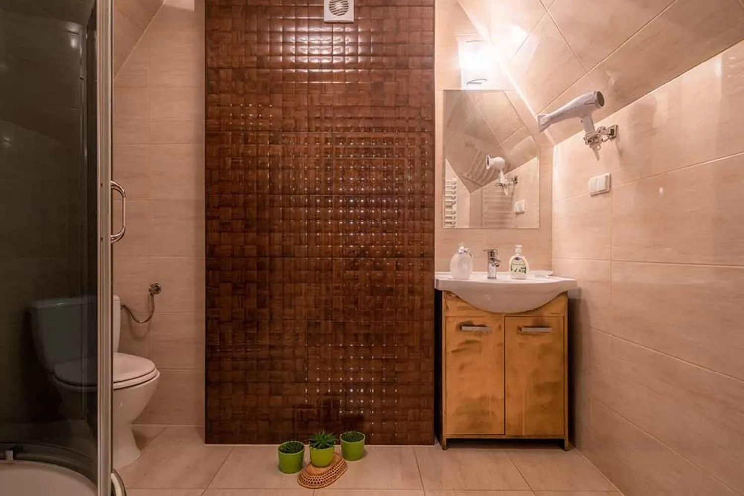 Shower in Willa Danielka