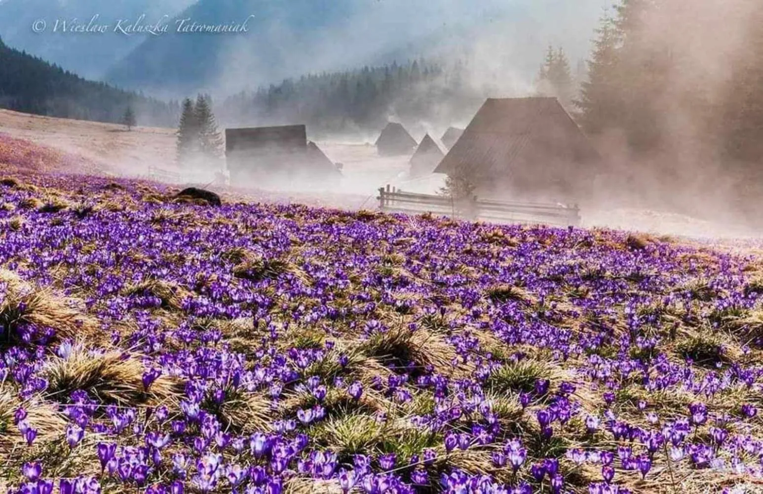 Nearby landmark in Willa Danielka