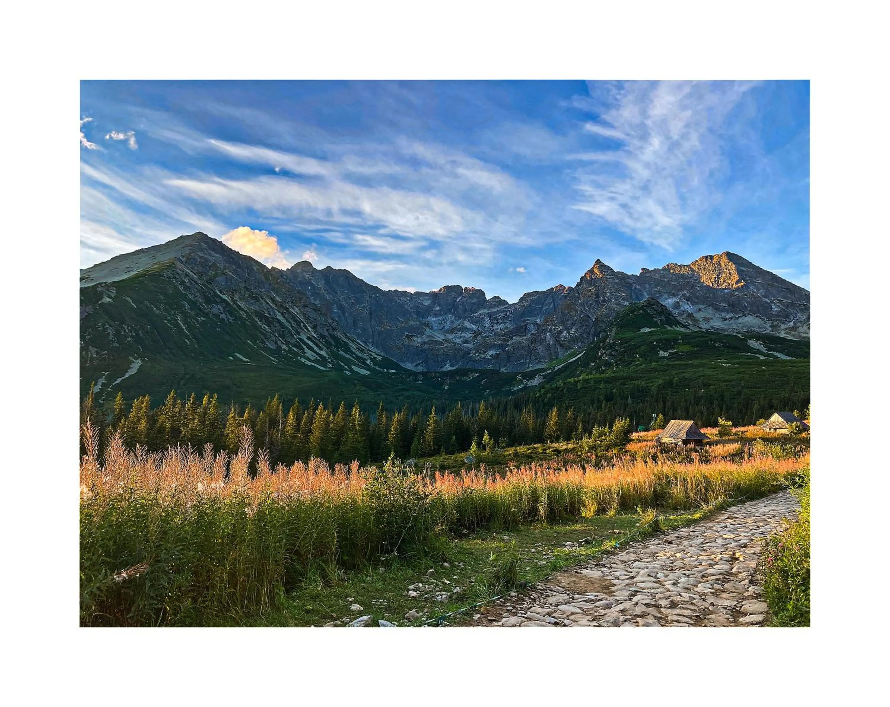 Nearby landmark in Willa Danielka