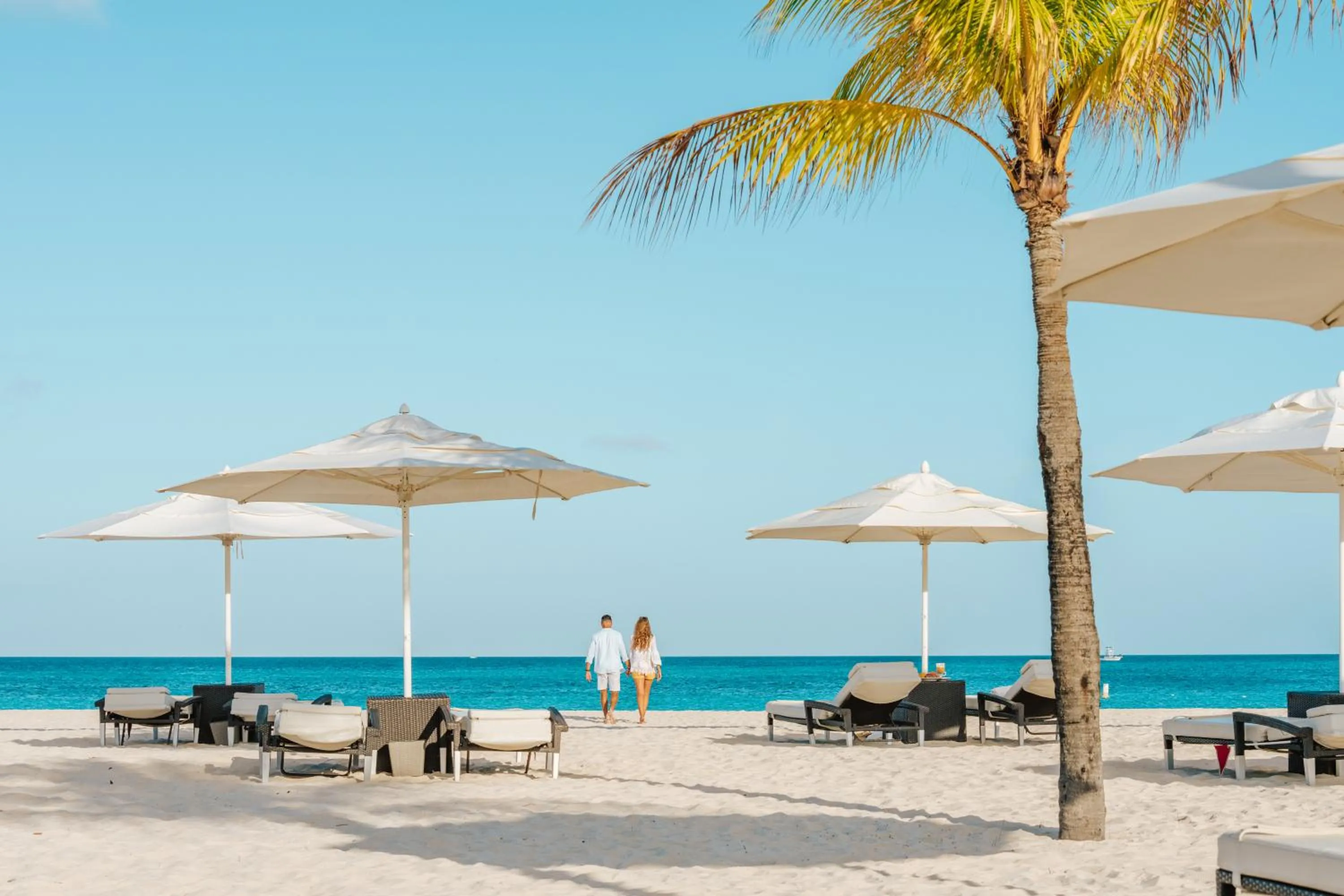 Beach in Bucuti & Tara Boutique Beach Resort - Adult Only