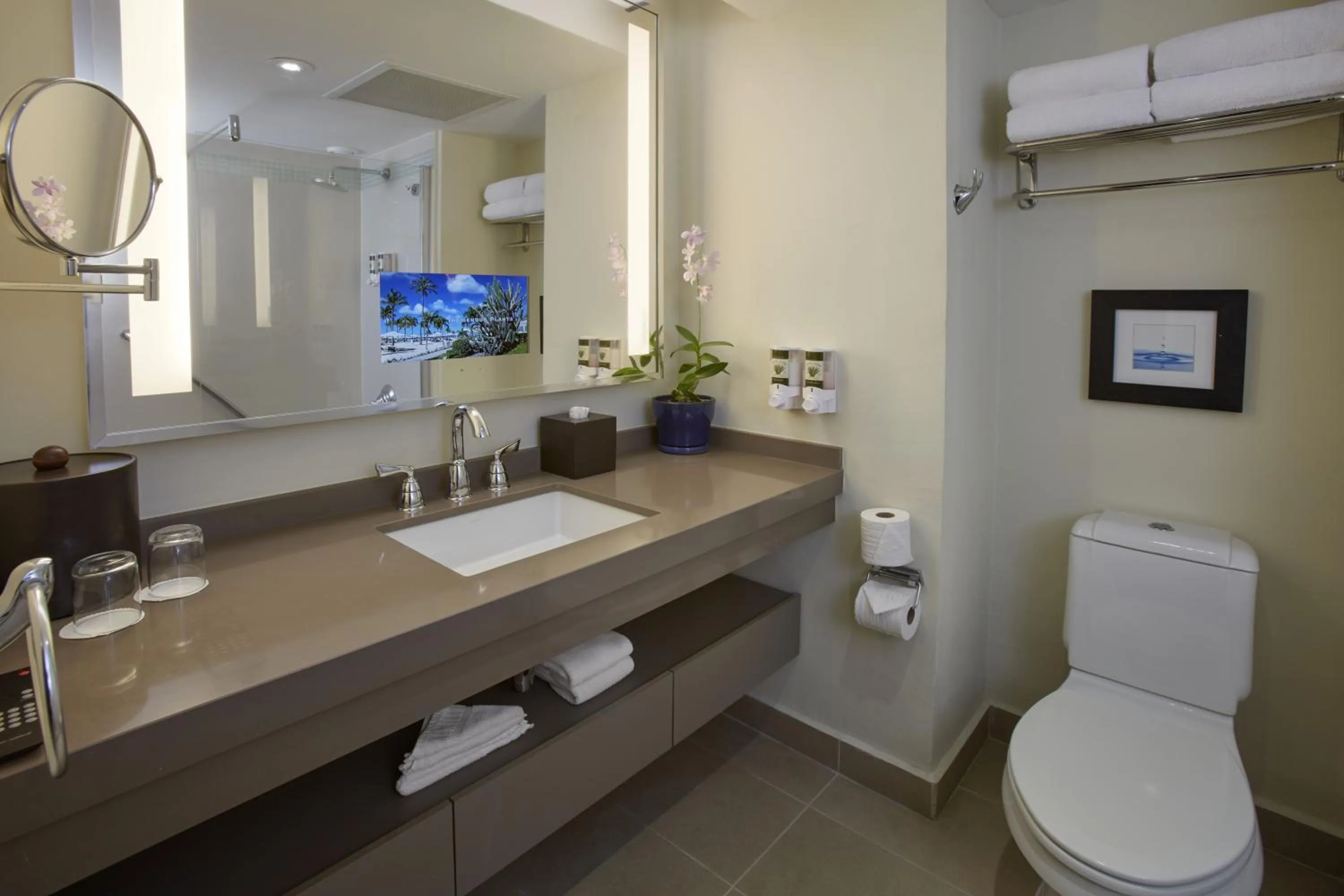 Toilet in Bucuti & Tara Boutique Beach Resort - Adult Only