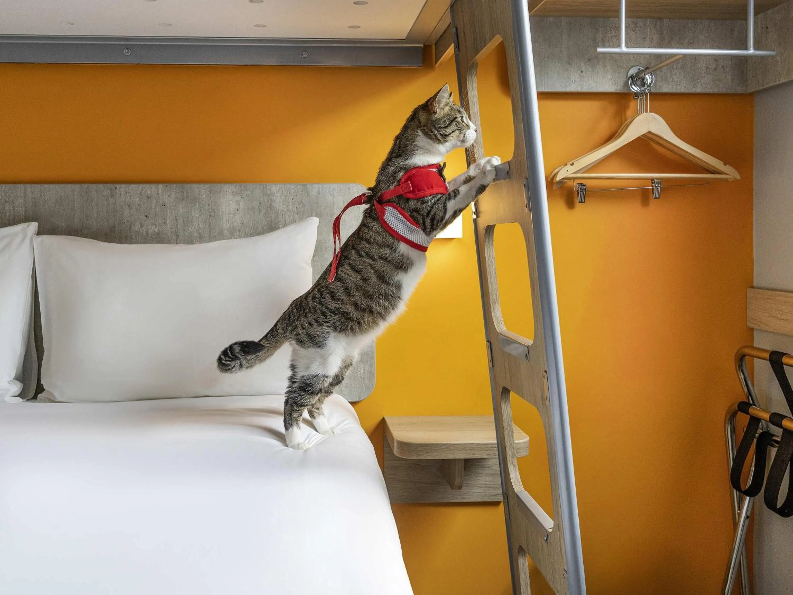 Other, Bed in ibis budget Lima Miraflores