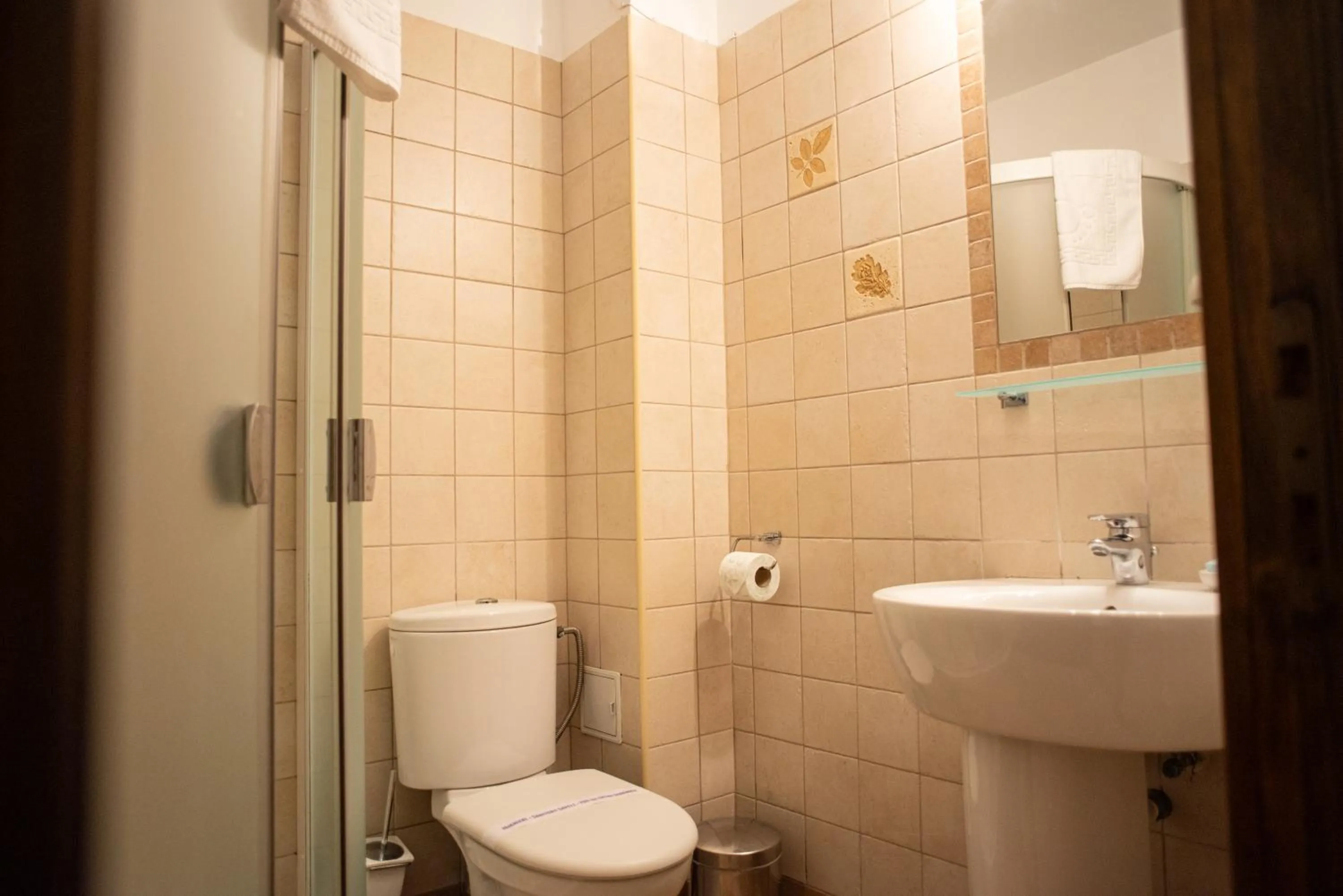 Double Room - single occupancy in Villa Ermitage