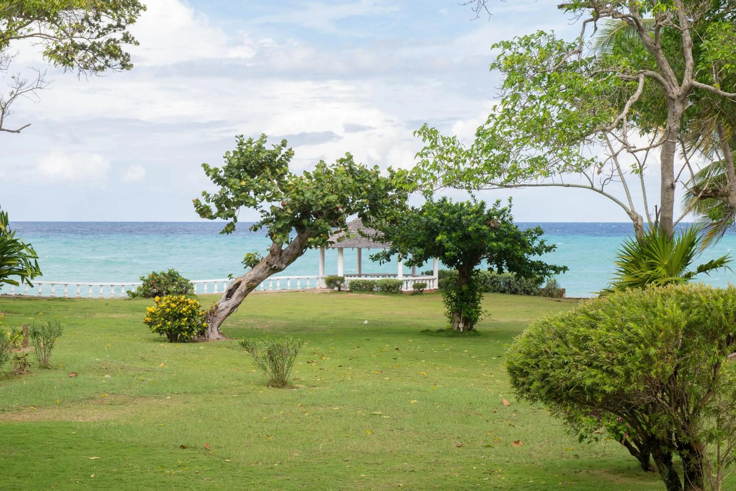 Garden in Villa Viento
