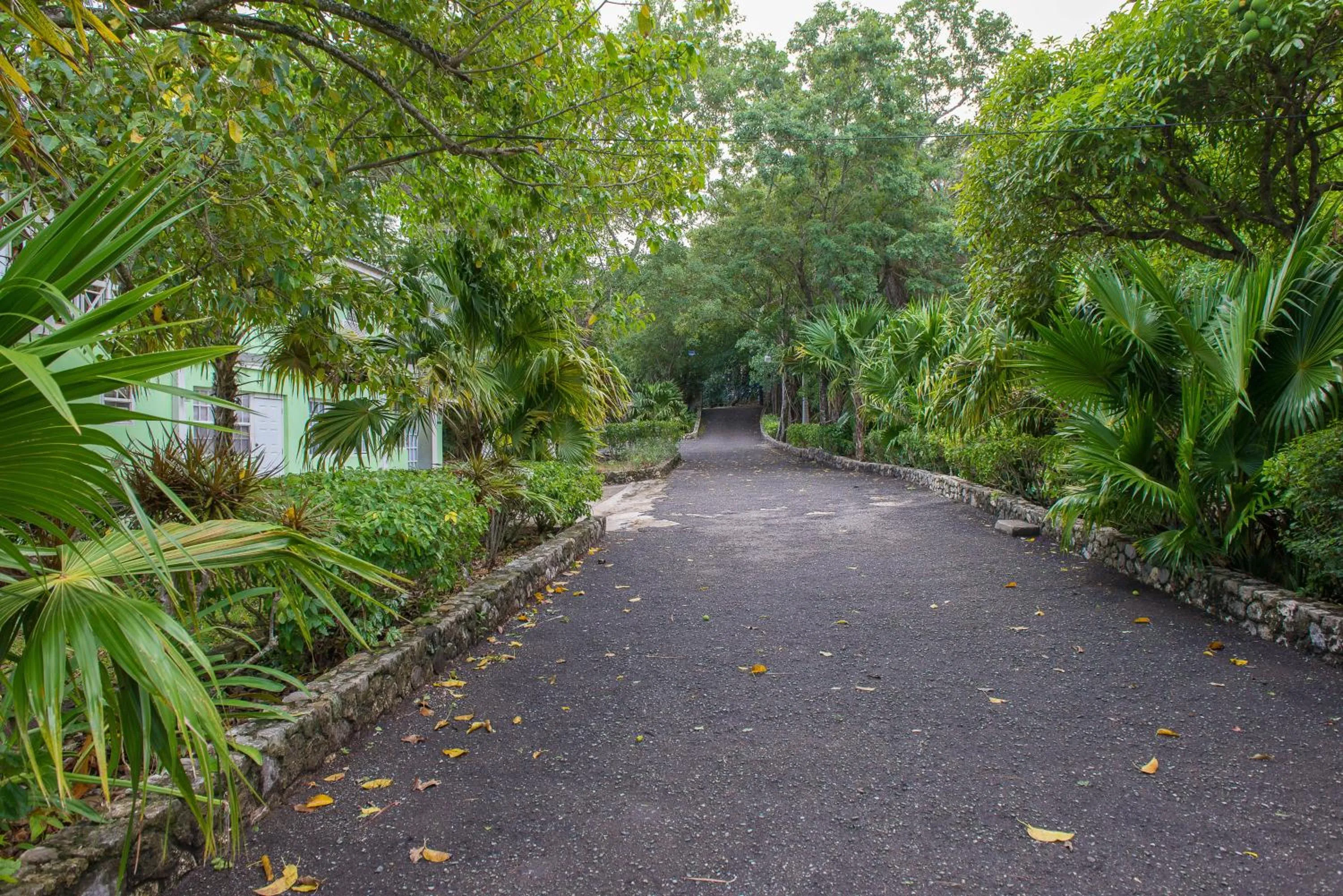 Natural landscape in Villa Viento