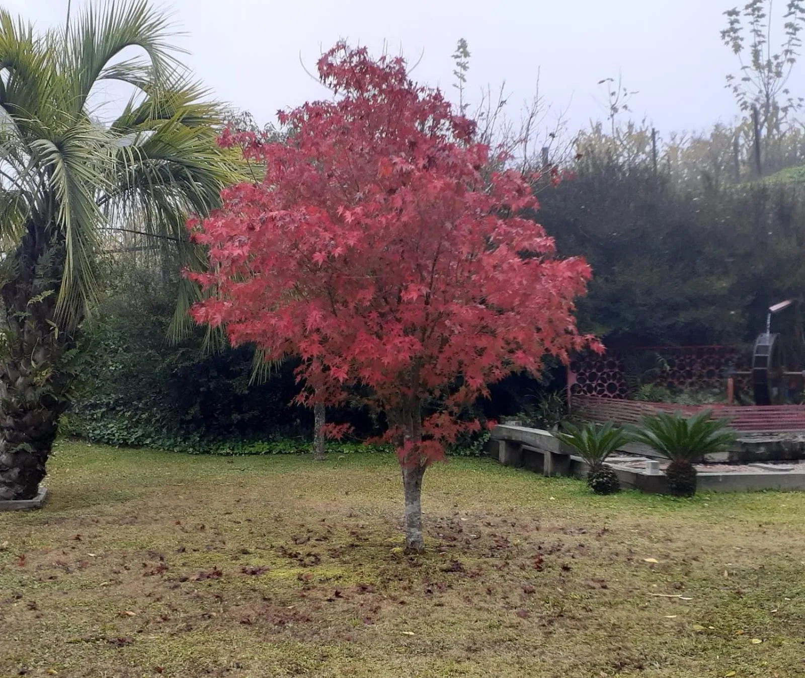 Cappio Pousada e Lazer