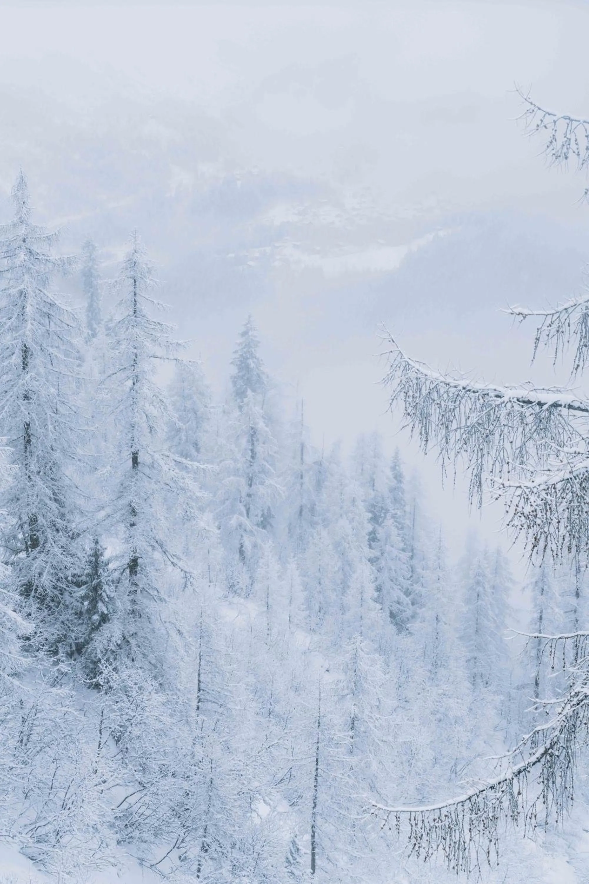 Mountain view in Cosmiques Hotel - Centre Chamonix