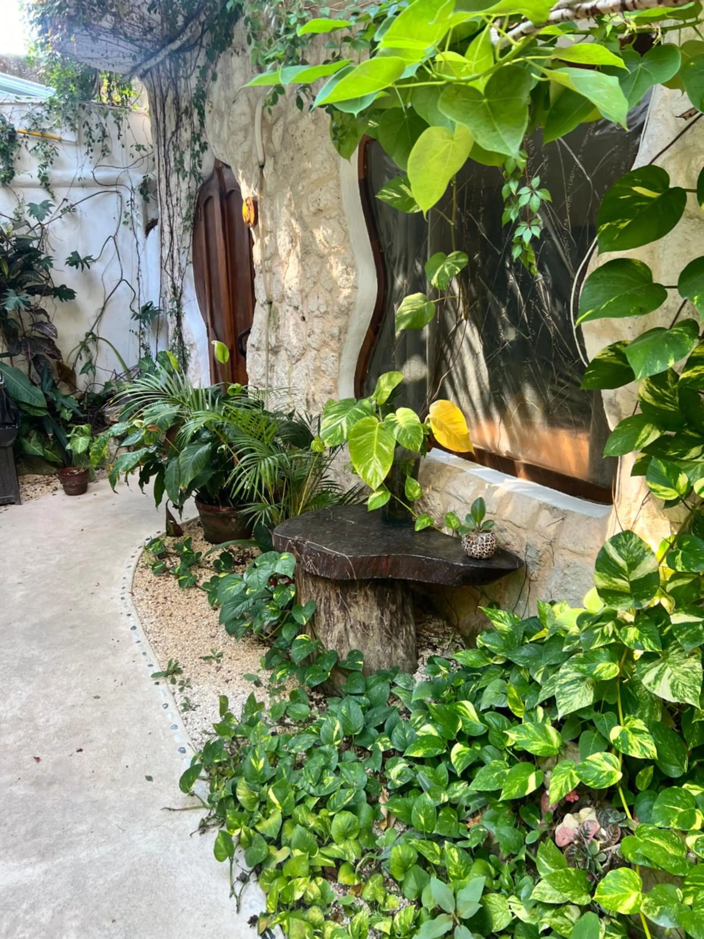 Garden view in La Quinta Orquídea