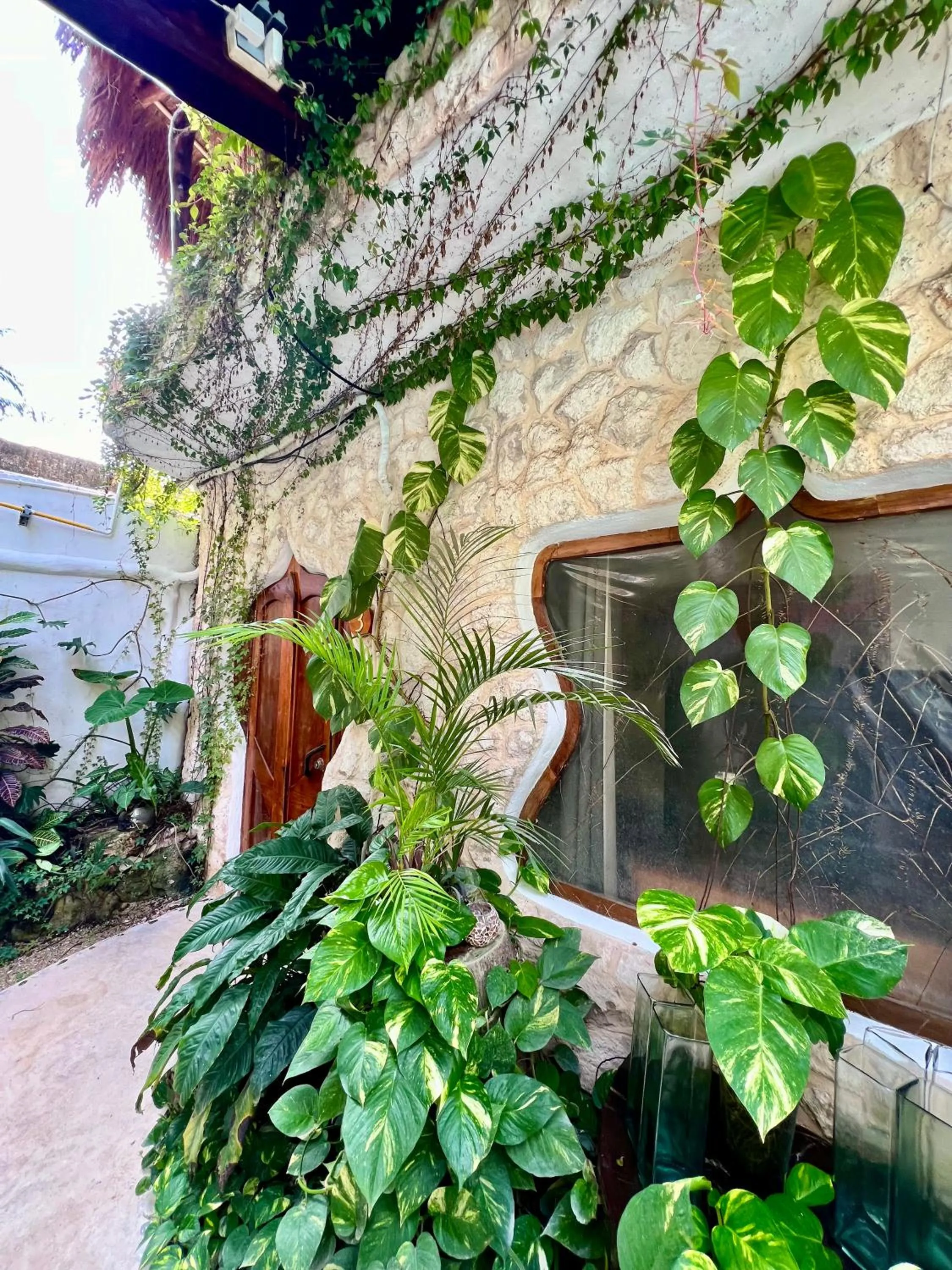 Property building in La Quinta Orquídea