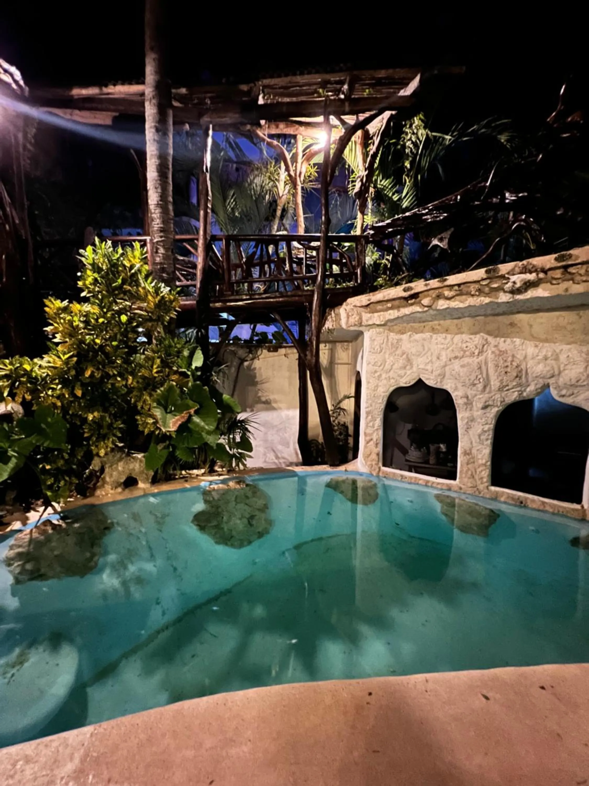 Swimming pool in La Quinta Orquídea