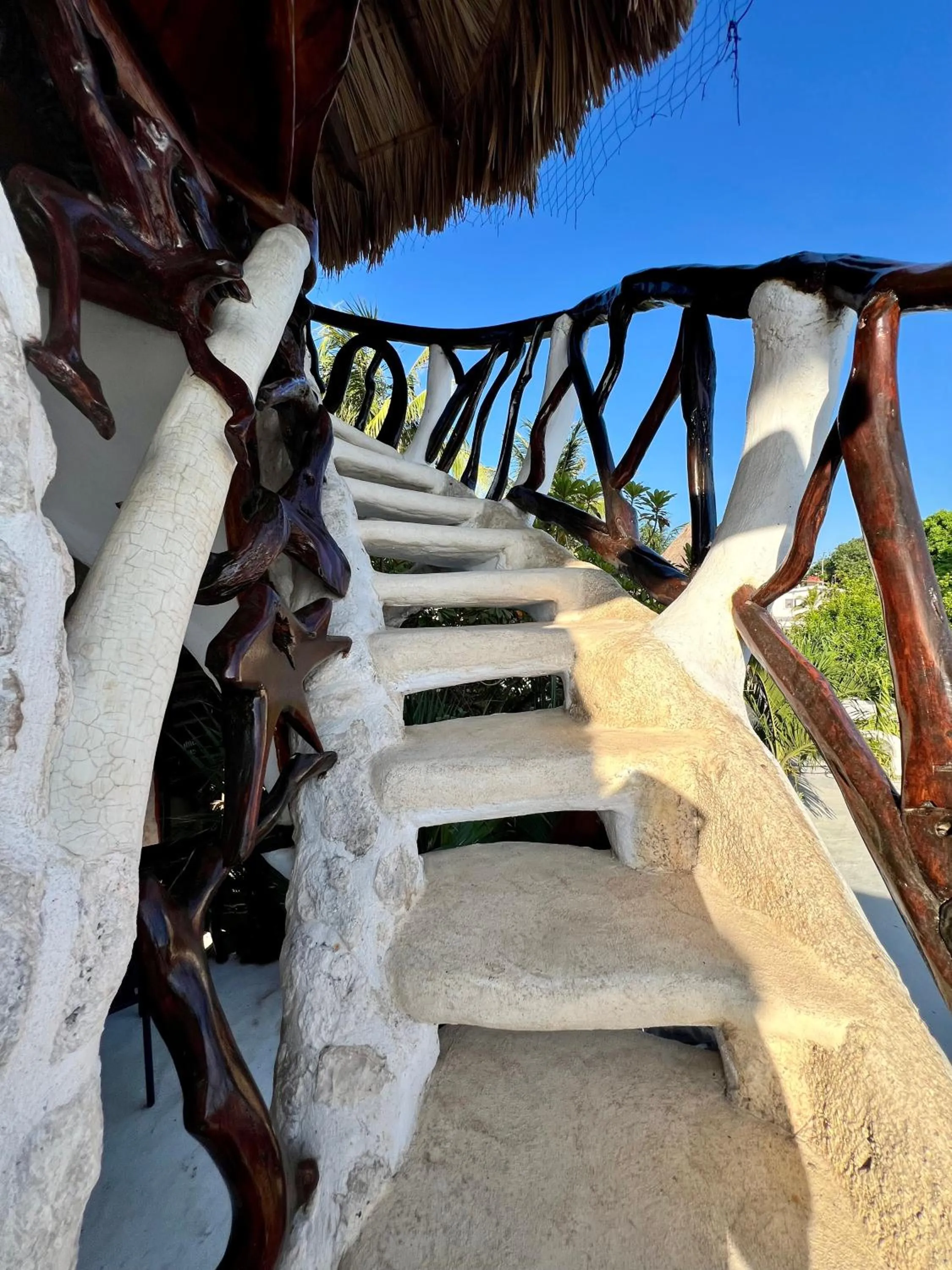 Day in La Quinta Orquídea