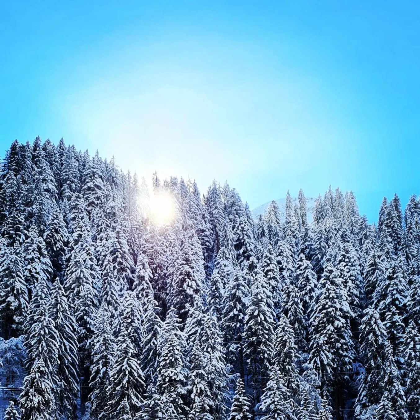 View (from property/room) in der klostertalerhof