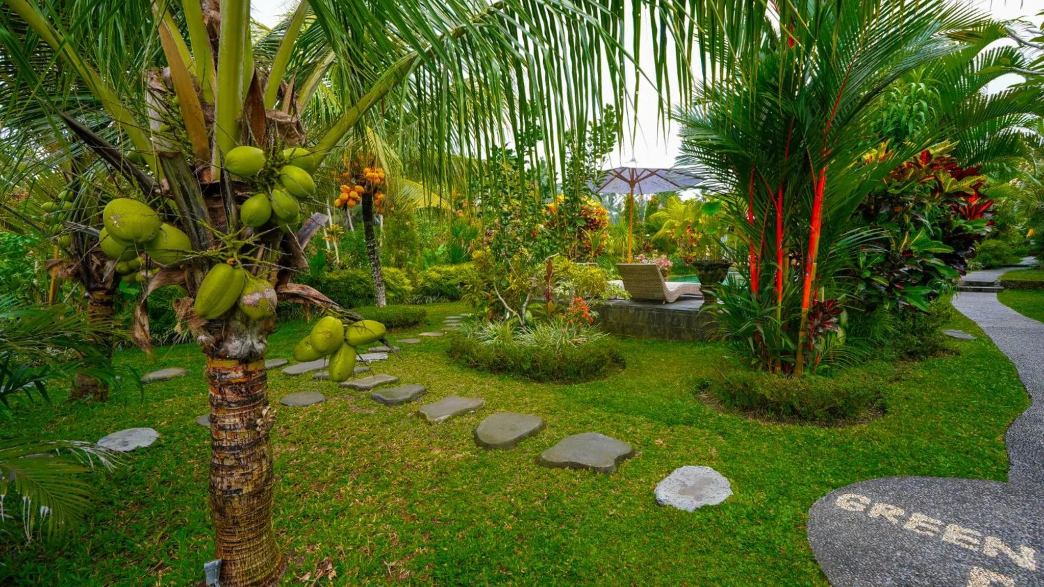 Garden view in Green Coconut Cottage