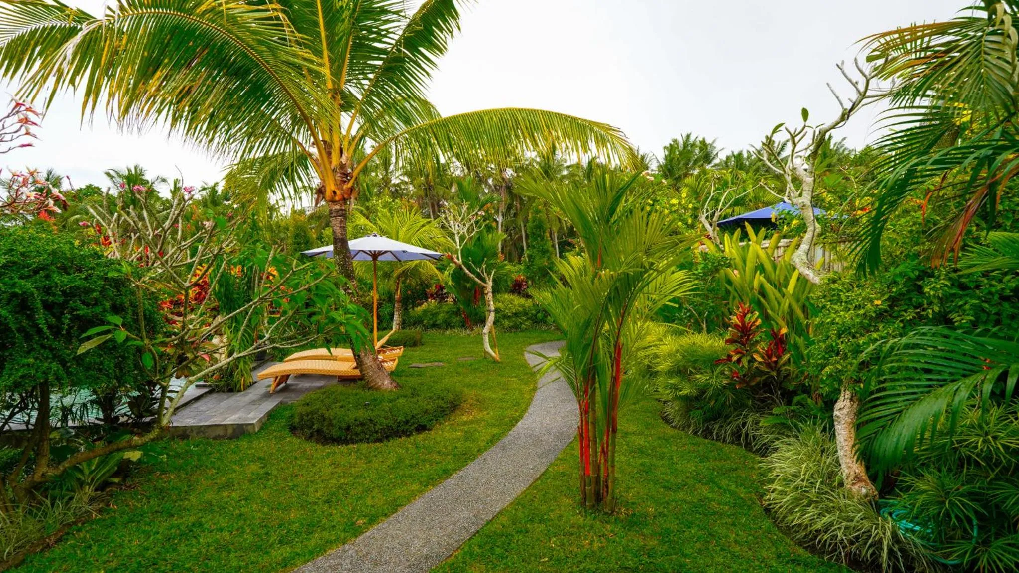 Garden view in Green Coconut Cottage