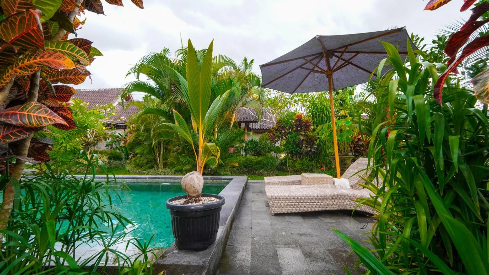 Garden view in Green Coconut Cottage