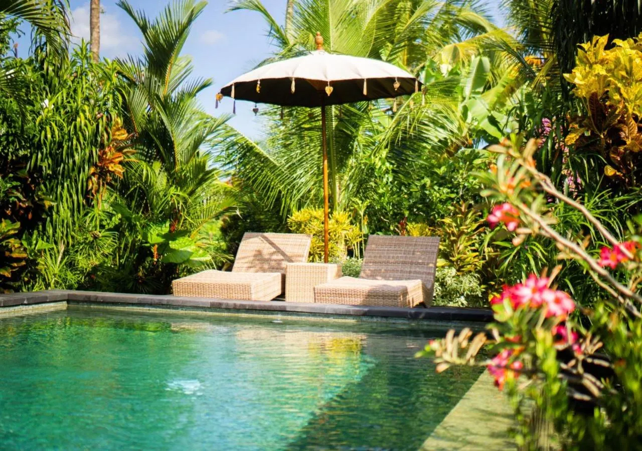 Day in Green Coconut Cottage