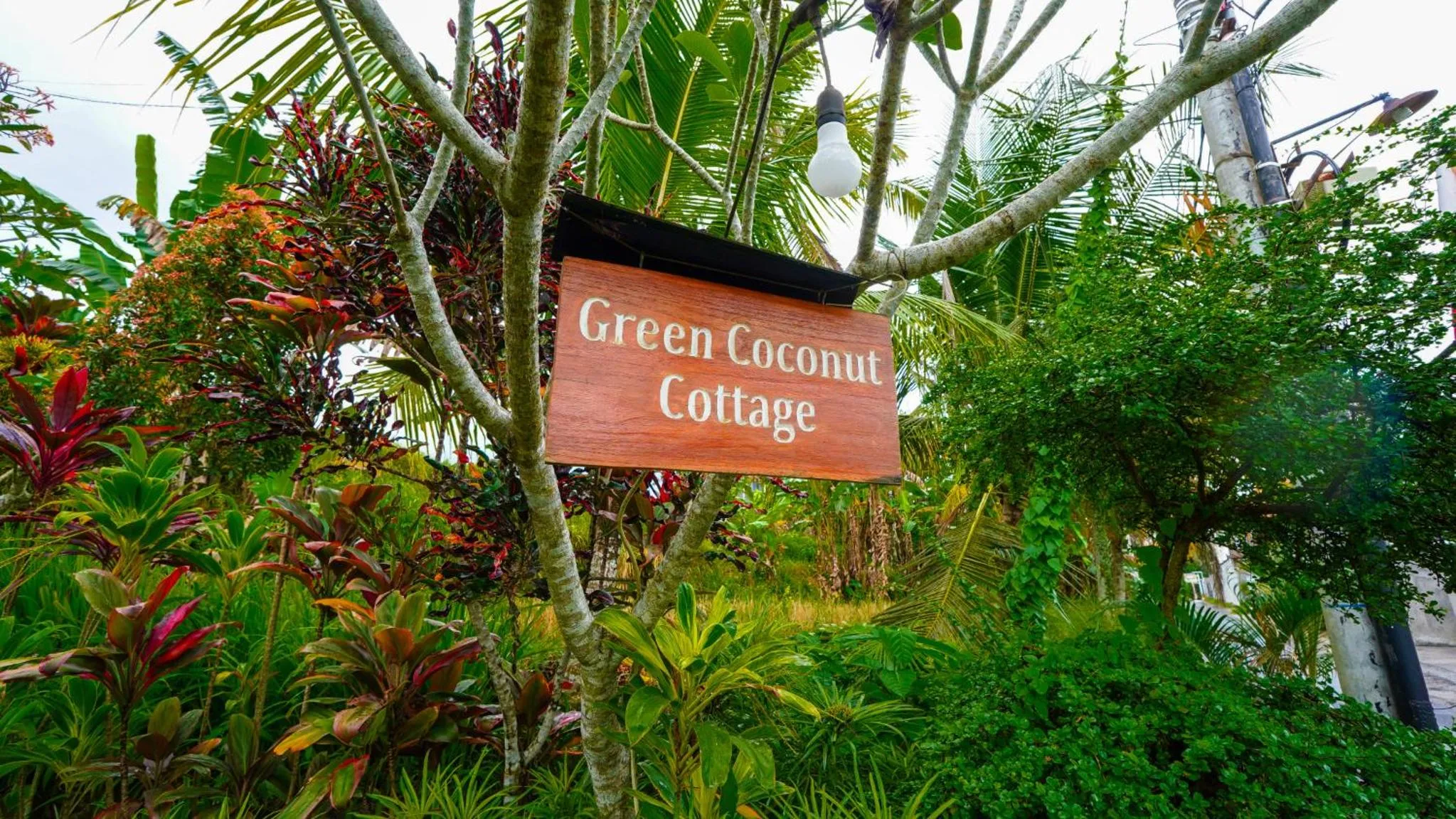 Property logo or sign in Green Coconut Cottage