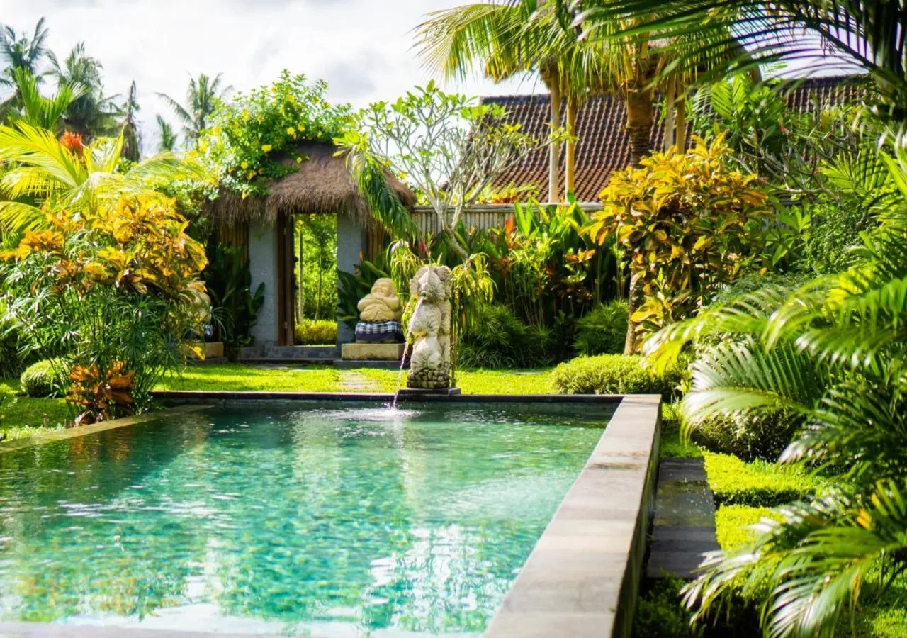 Day in Green Coconut Cottage