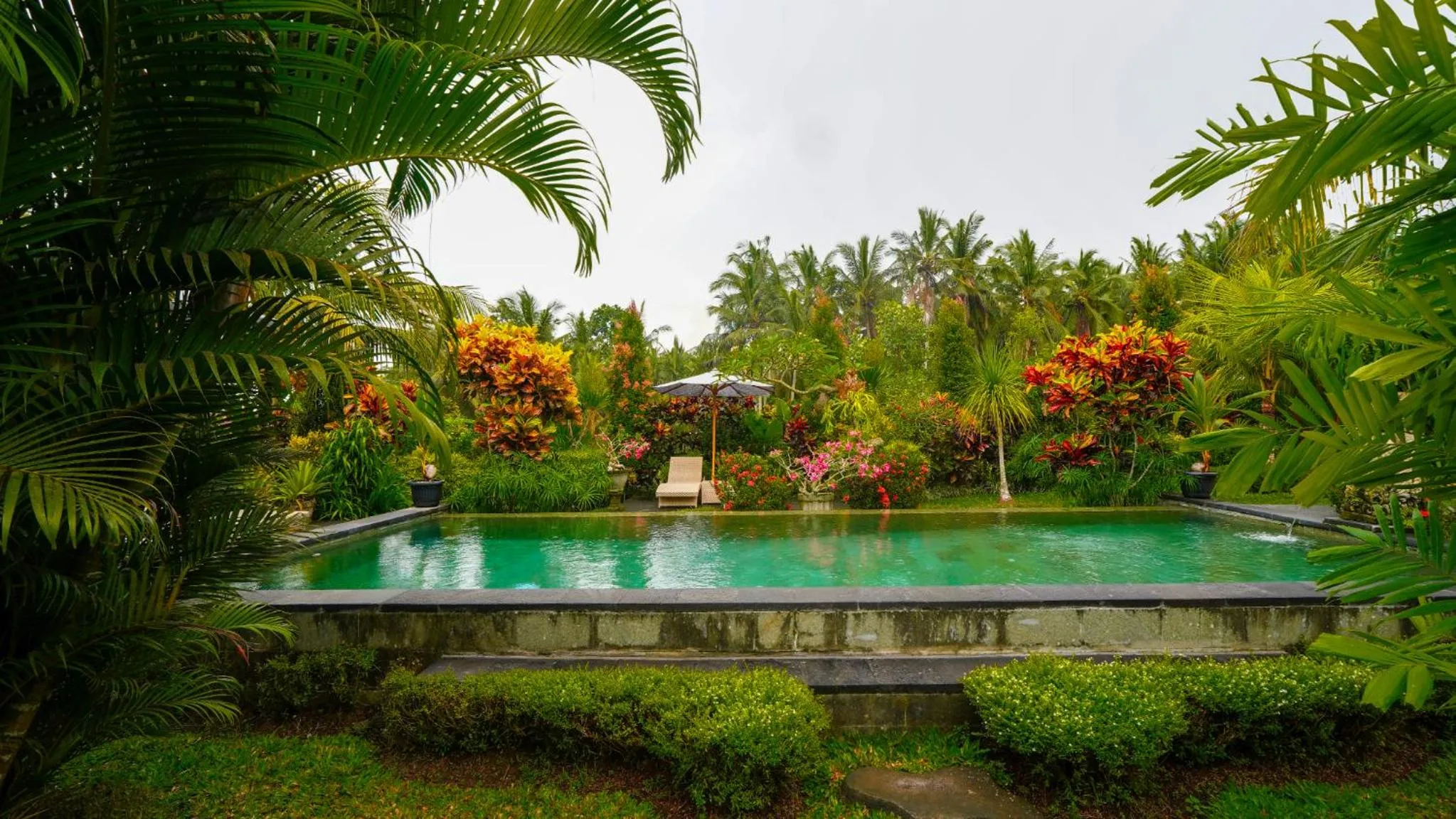 Garden view in Green Coconut Cottage