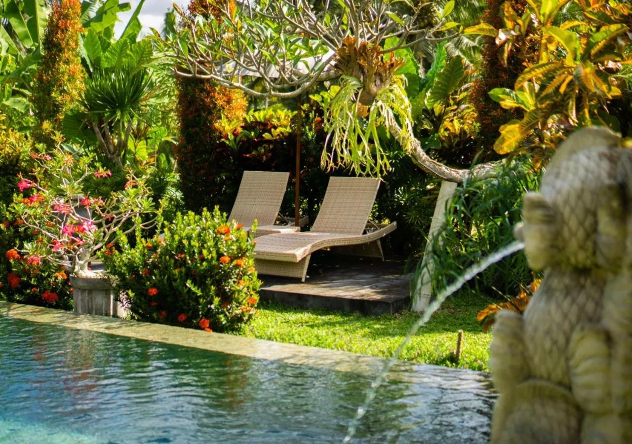 Day in Green Coconut Cottage