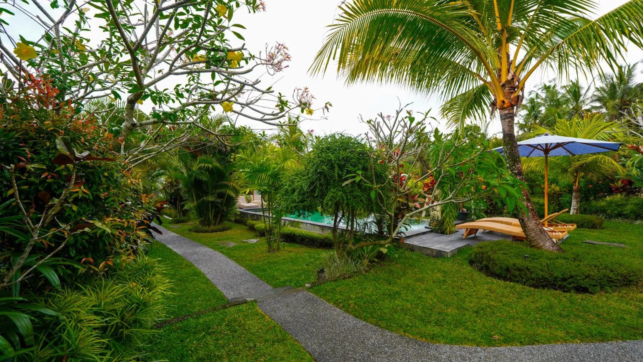 Garden view in Green Coconut Cottage