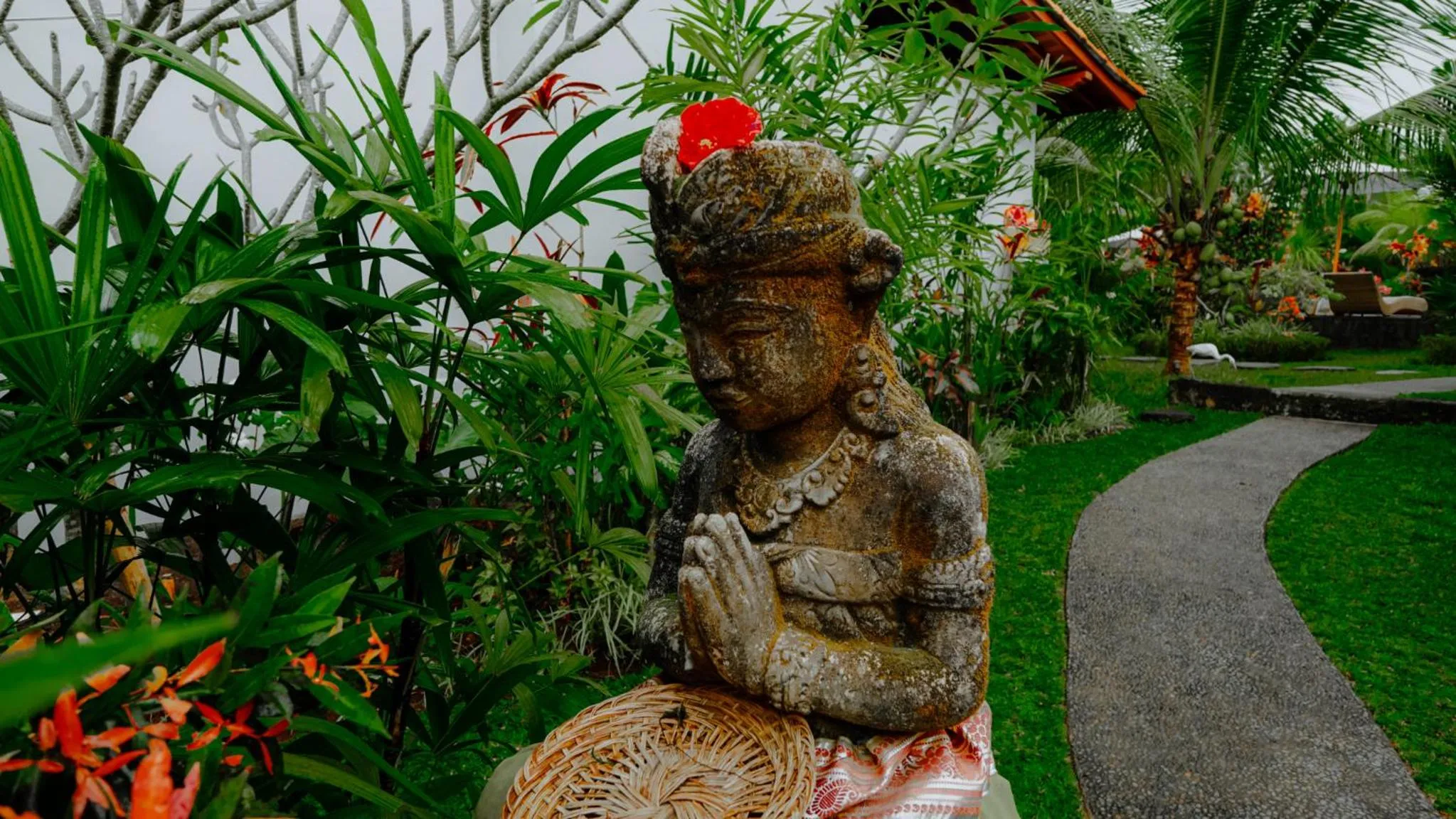 Garden view in Green Coconut Cottage