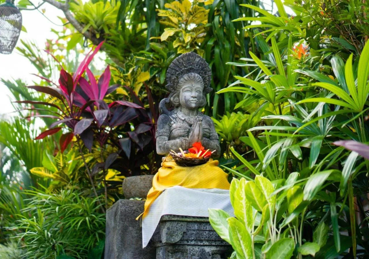 Natural landscape in Green Coconut Cottage