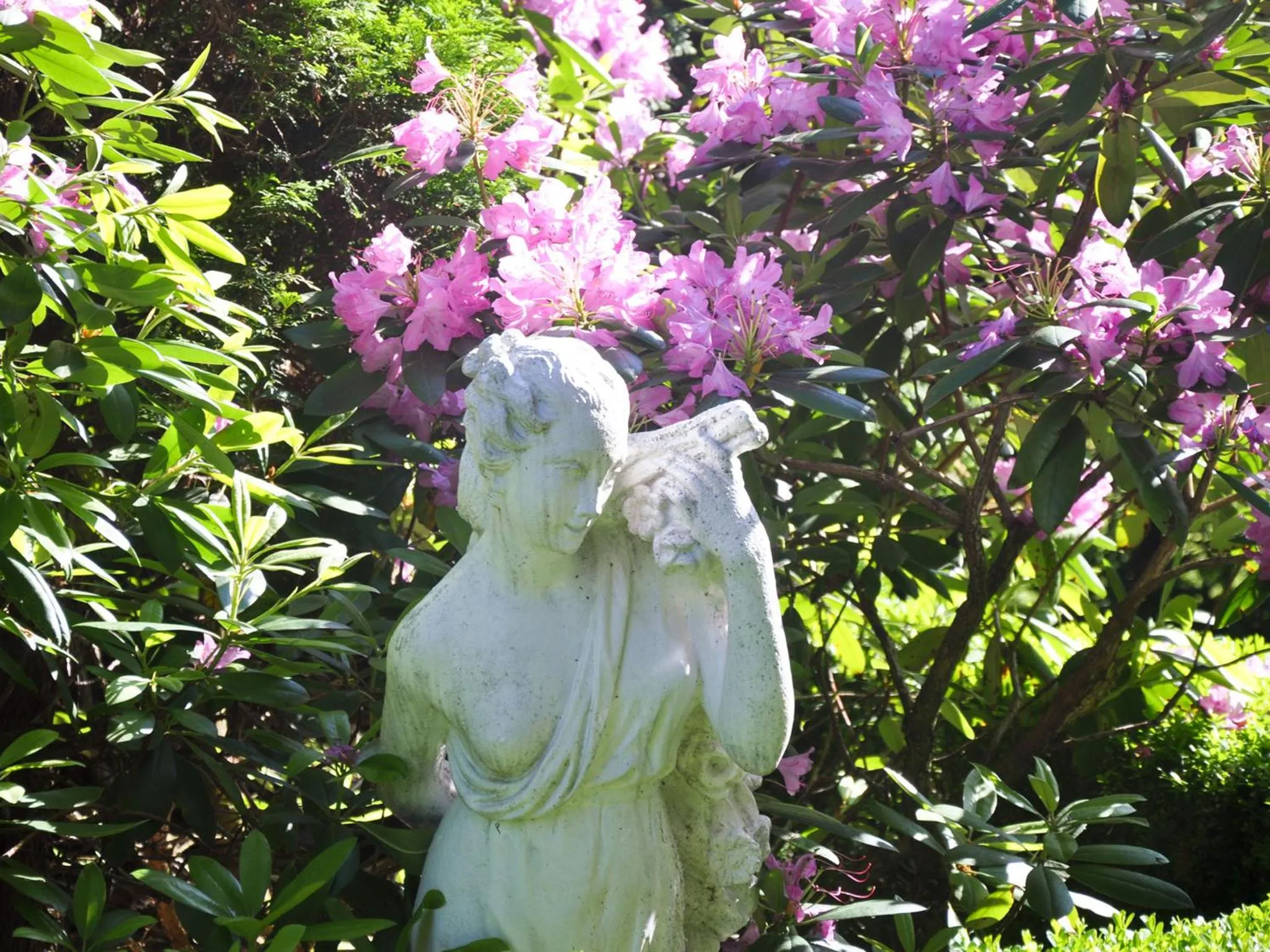 Garden in Hotel Quellenhof