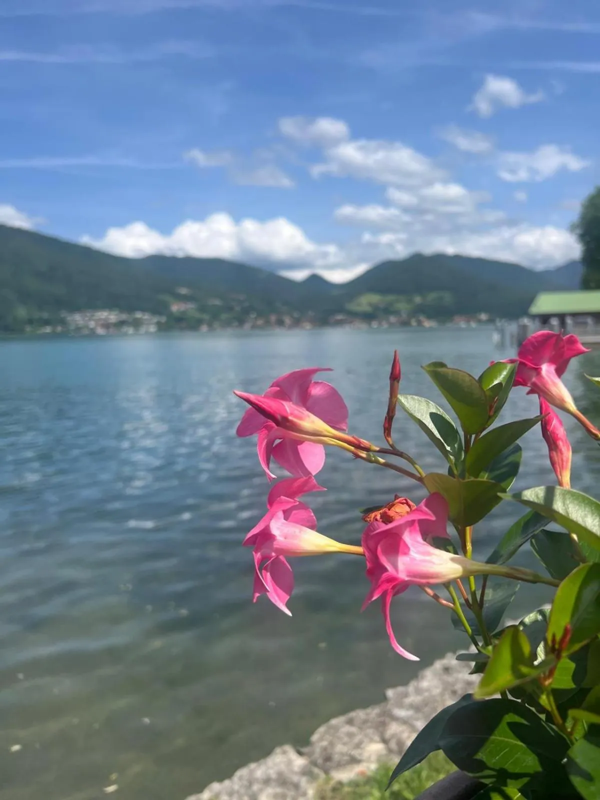 Area and facilities in Hotel Quellenhof