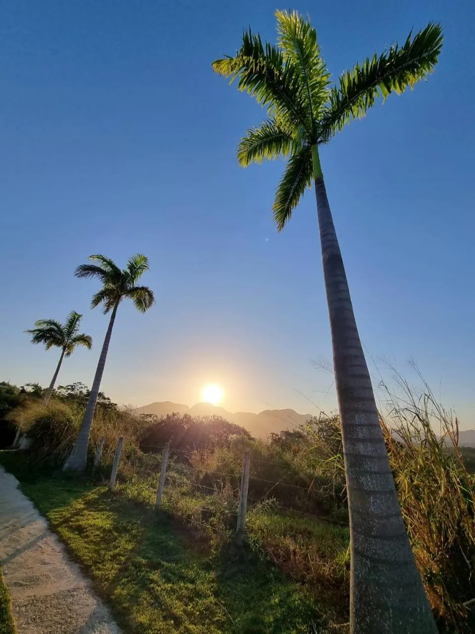 Natural landscape in Pousada Terraço Guarapari