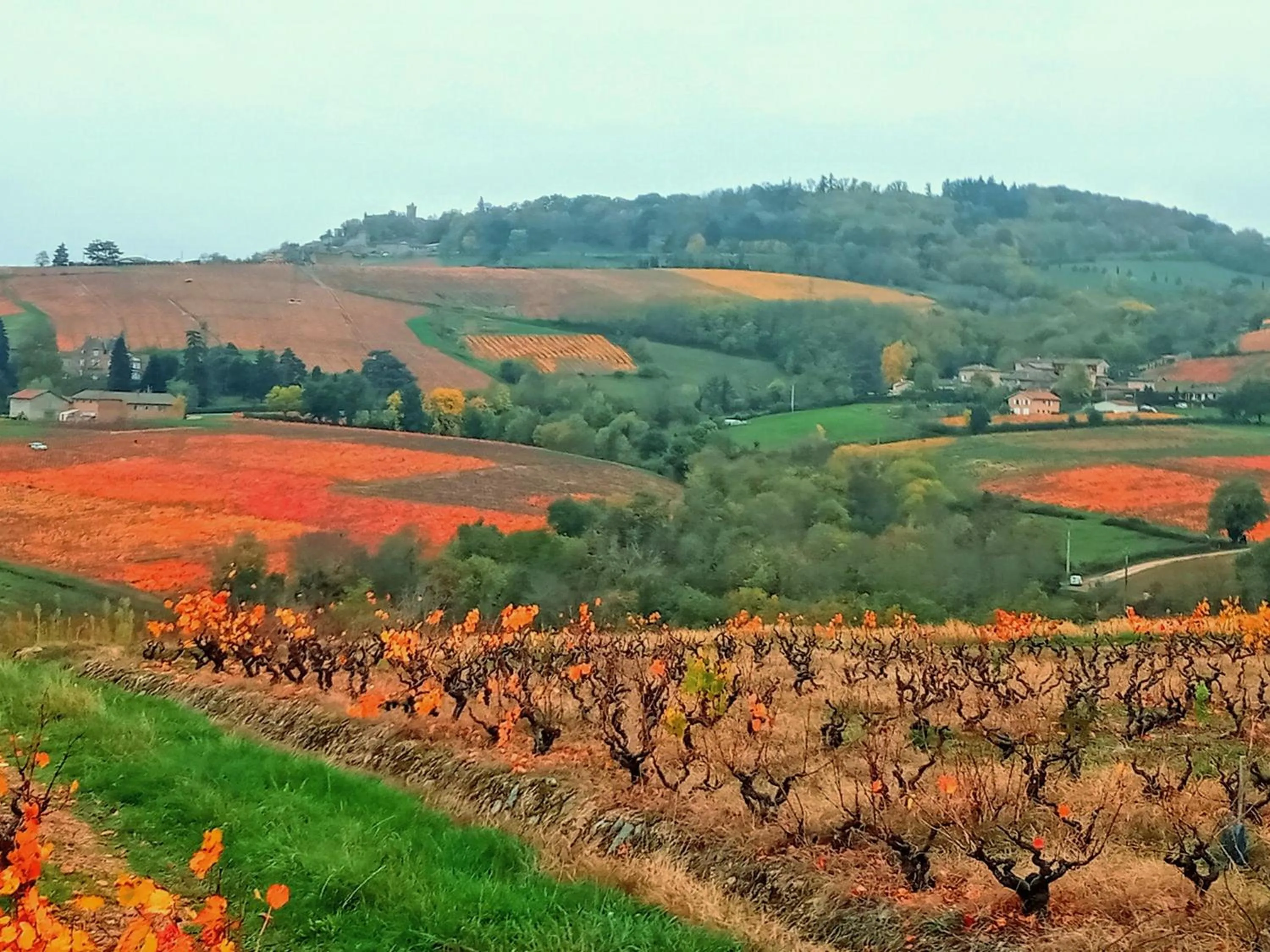 Natural landscape in Le vieux pont