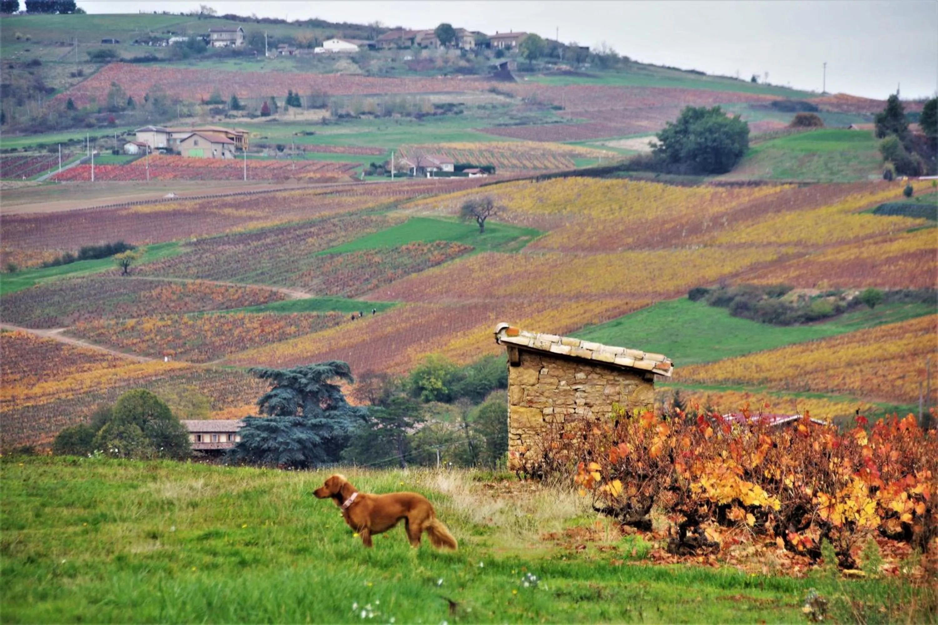 Natural landscape in Le vieux pont