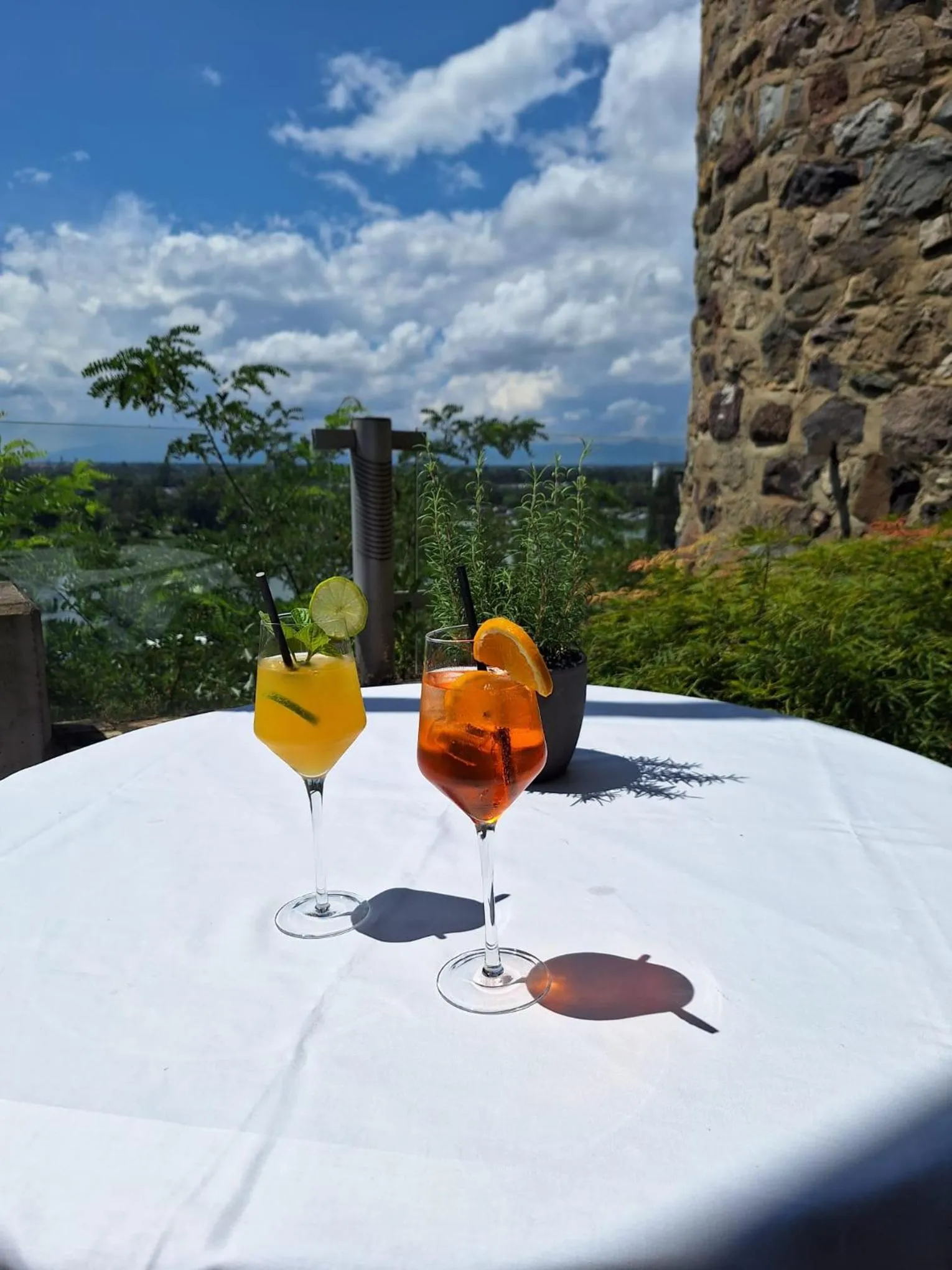 View (from property/room) in Hotel Stadt Breisach