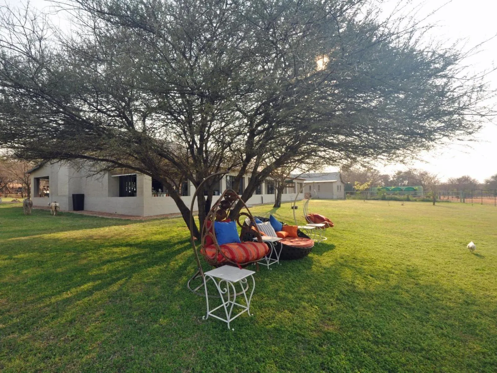 Garden in Tula Baba Game Lodge