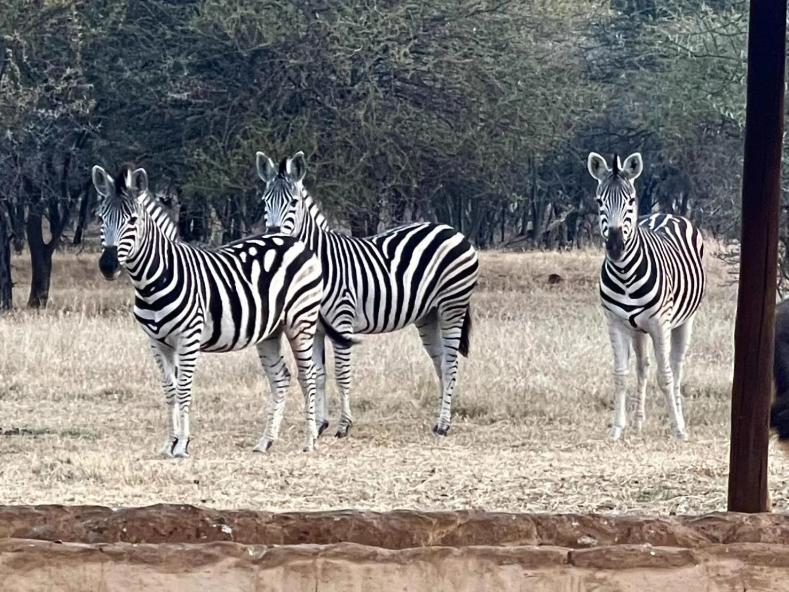 Natural landscape in Tula Baba Game Lodge