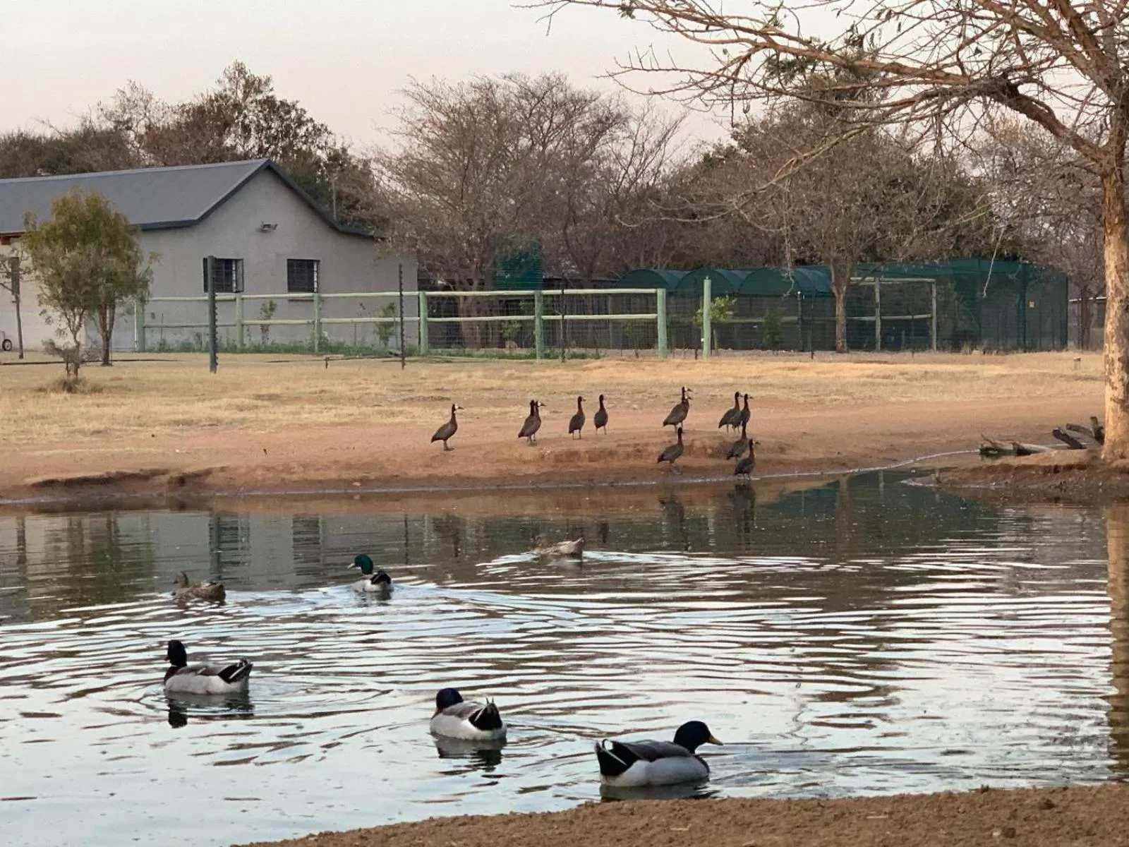Lake view in Tula Baba Game Lodge