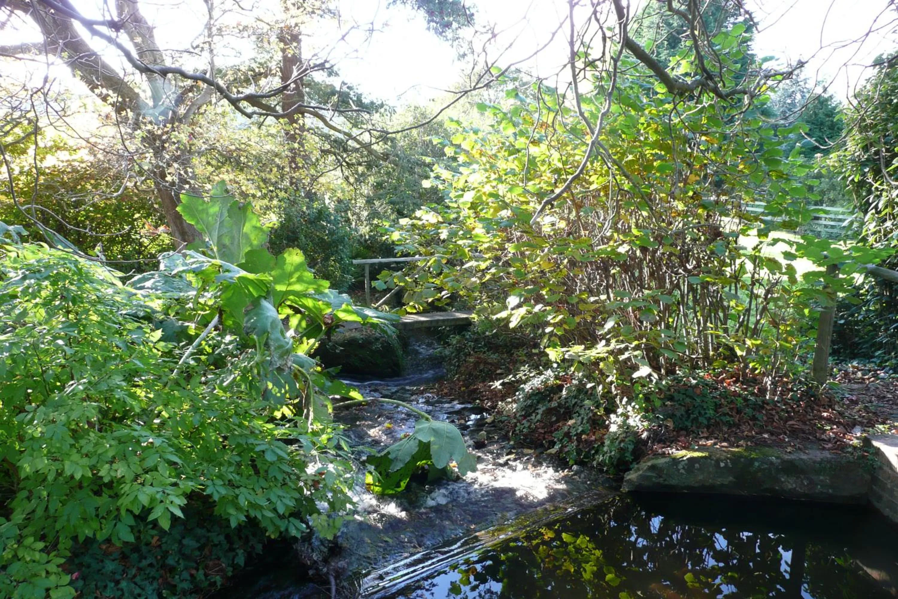 Natural landscape in Luxury Bed And Breakfast at Bossington Hall in Exmoor, Somerset