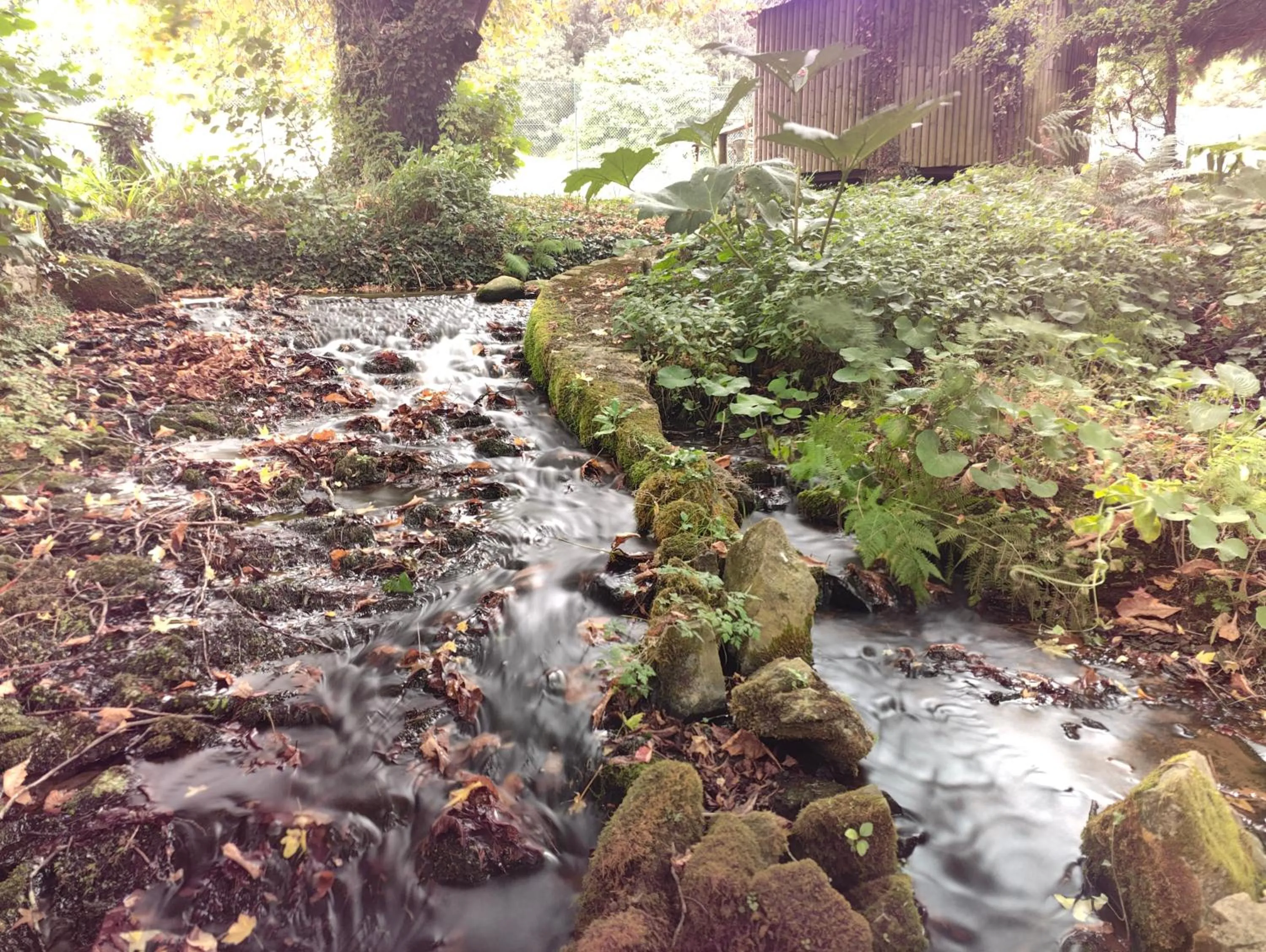 Garden in Luxury Bed And Breakfast at Bossington Hall in Exmoor, Somerset