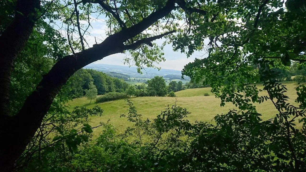 Natural landscape in Hotel Zur Burg Sternberg