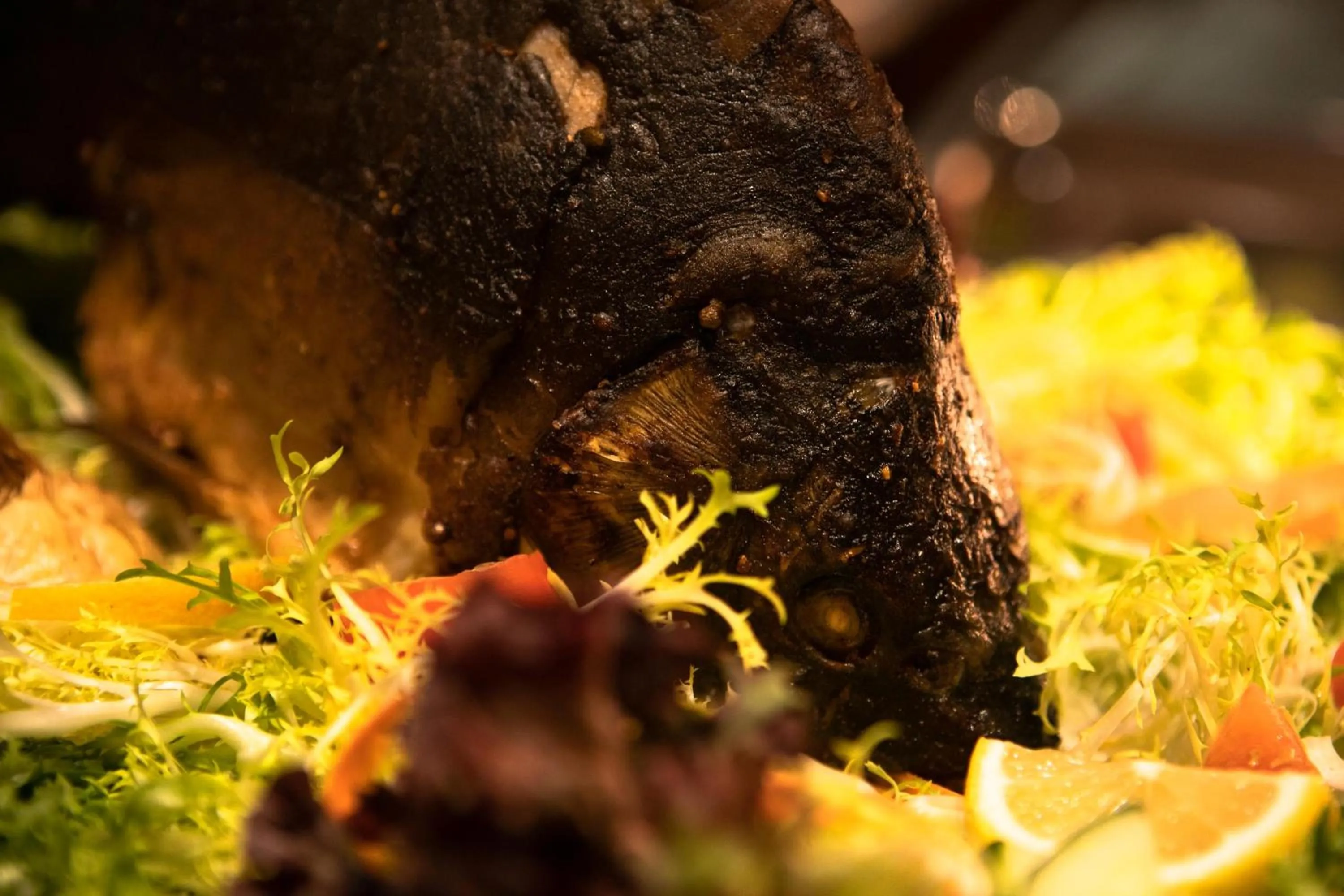 Food and drinks in Hotel Zur Burg Sternberg