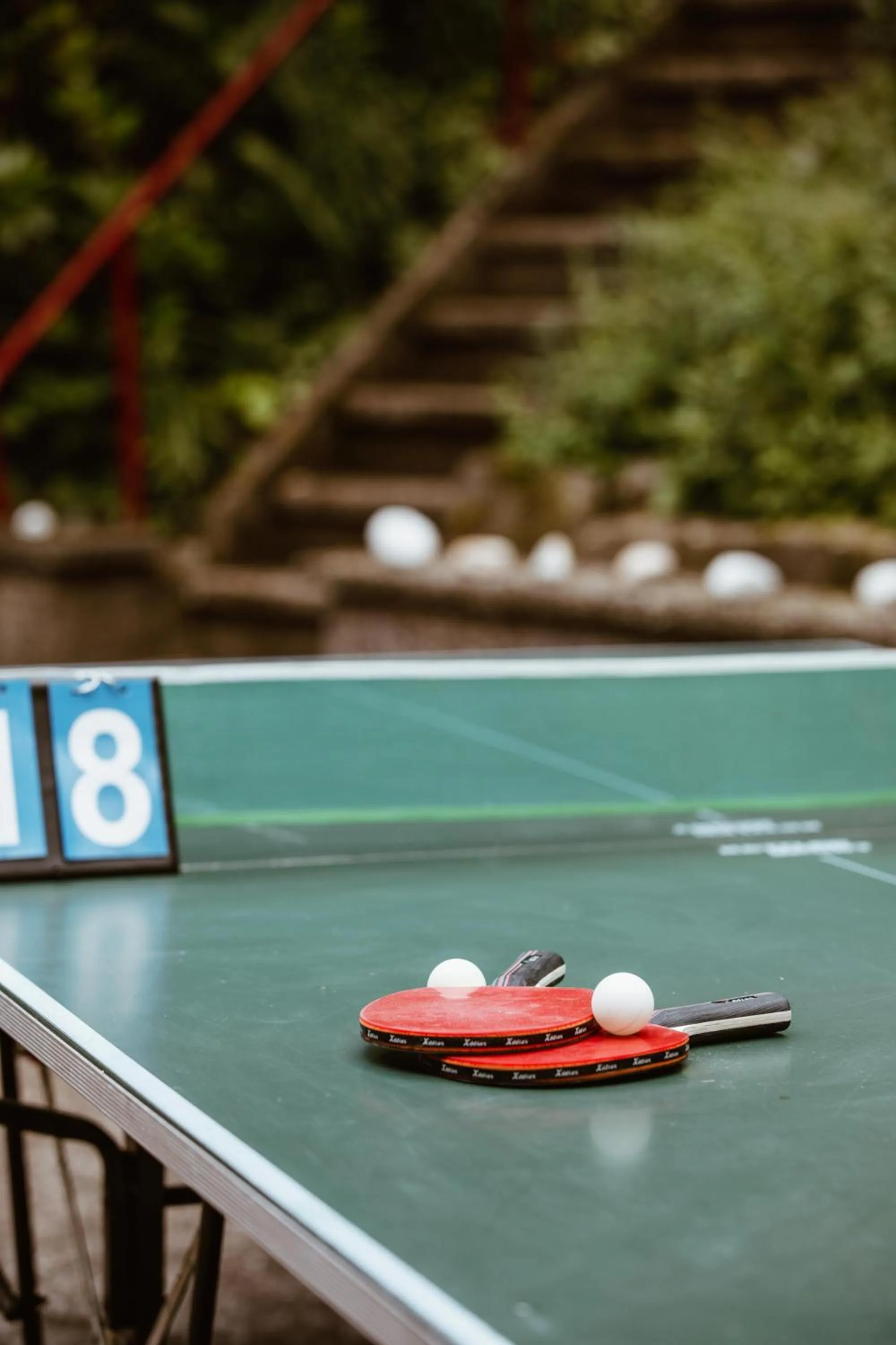 Activities in Hotel Zur Burg Sternberg