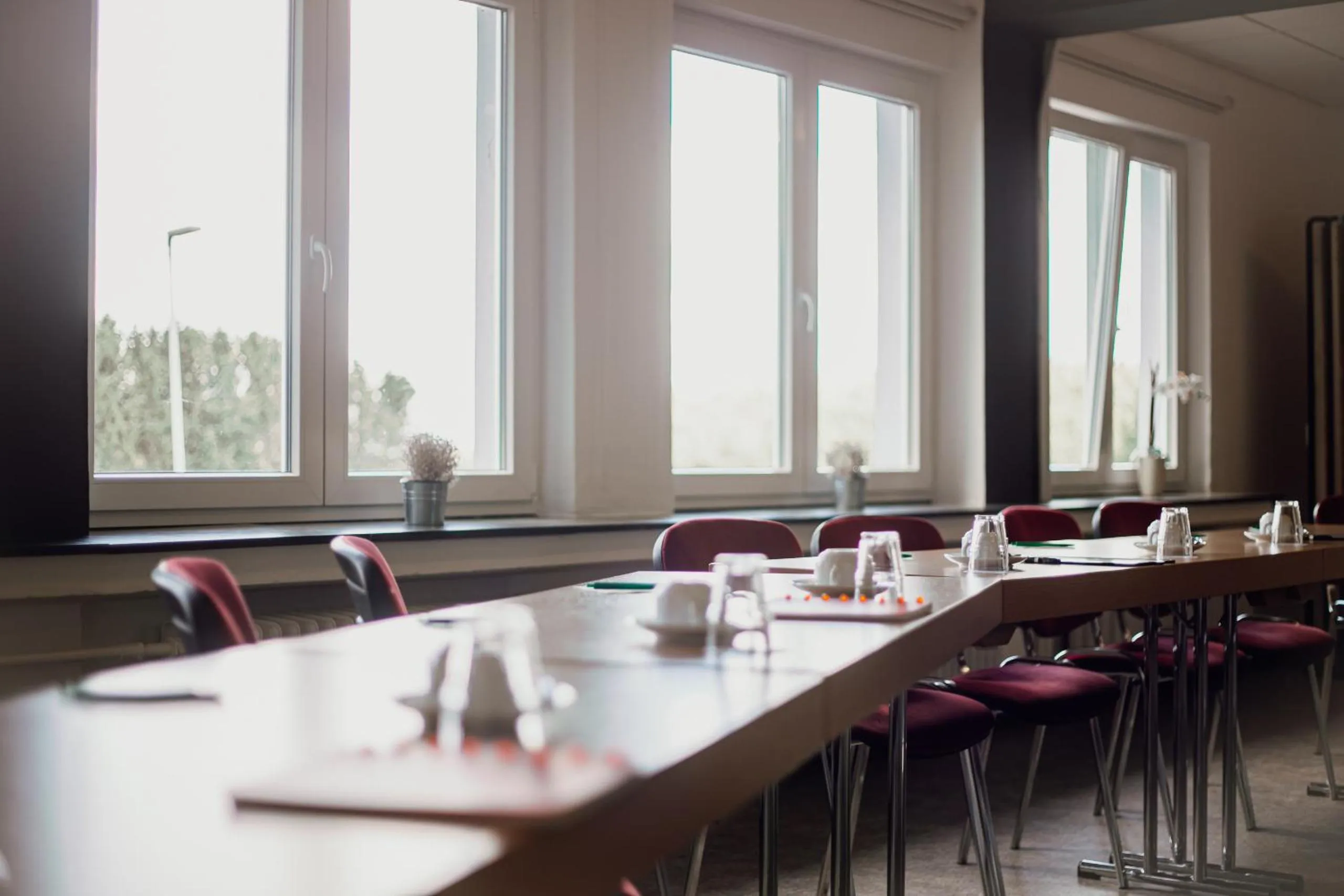 Meeting/conference room in Hotel Zur Burg Sternberg
