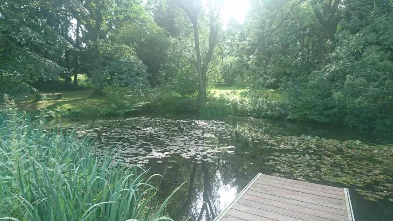 Natural landscape in Hotel Zur Burg Sternberg
