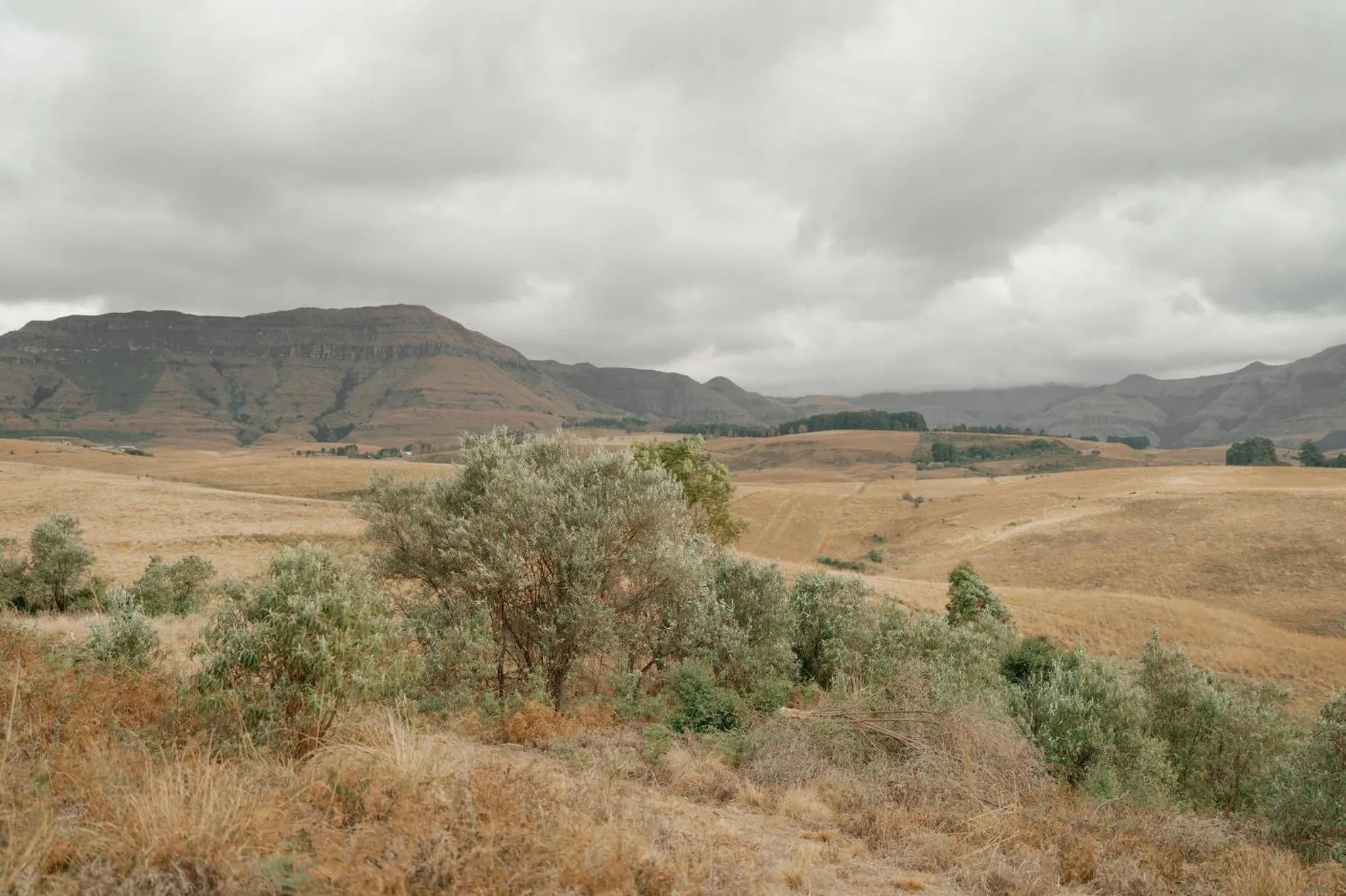 Mountain view in Dragonview Lodge