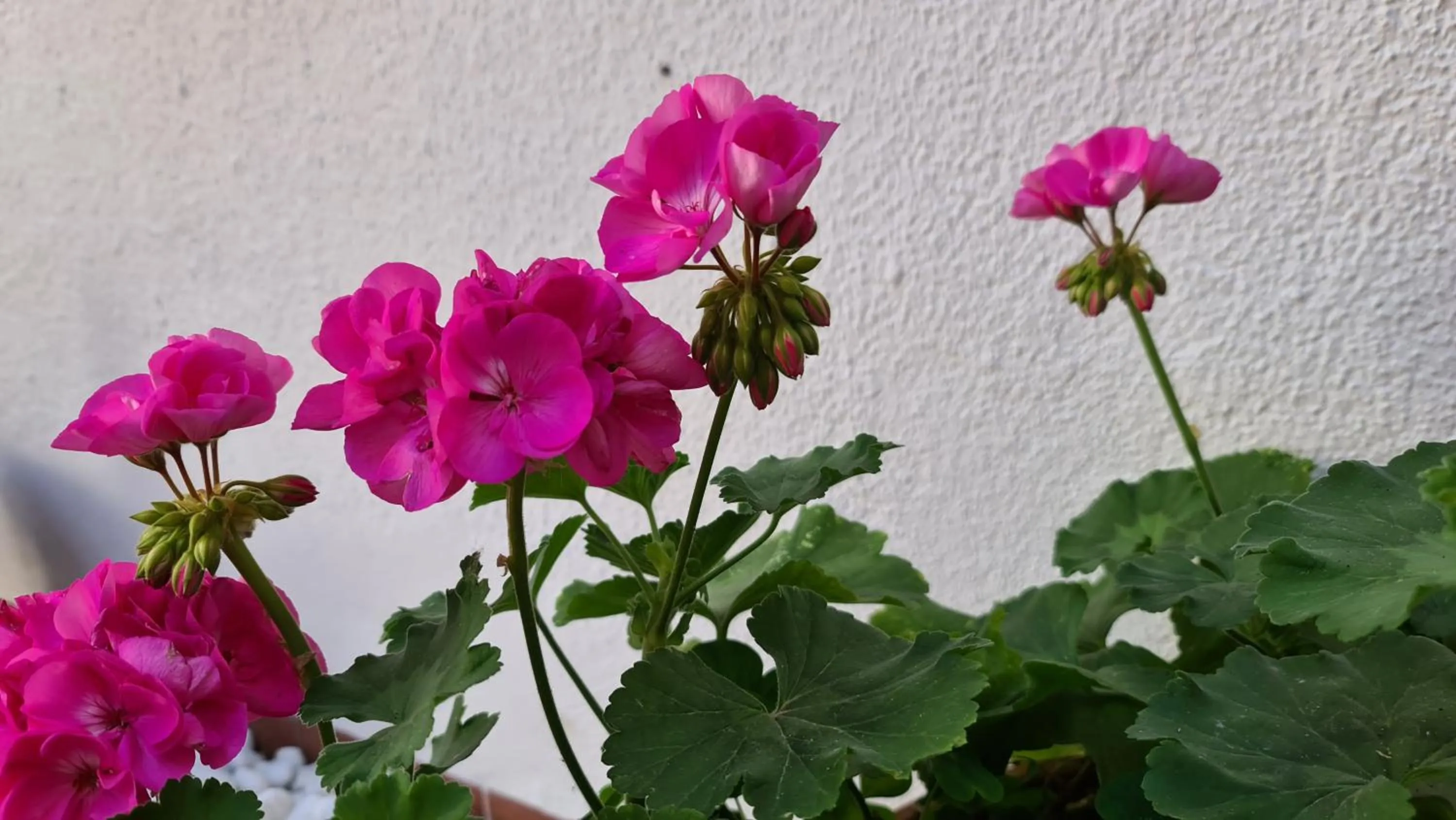 Property building in Arc House Córdoba Only Adults