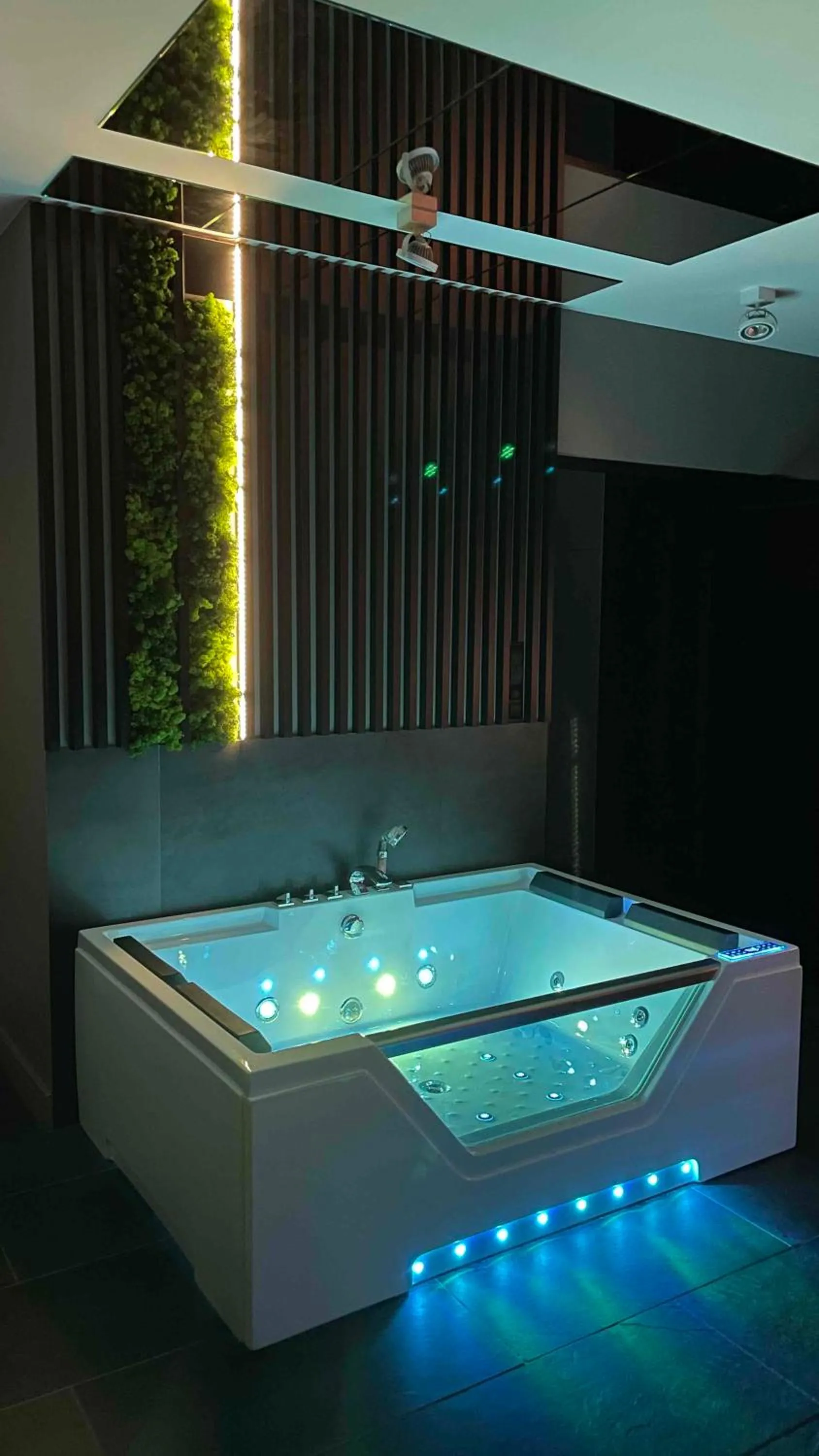 MagSpace Jacuzzi -Z WIDOKIEM NA RZEKĘ, FREE PARKING